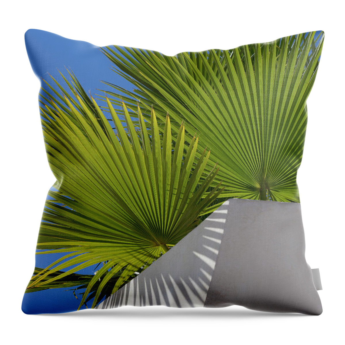 Palm Leaf Throw Pillow featuring the photograph Green palm leaves, blue sky and white wall of a modern finca 1 by Adriana Mueller