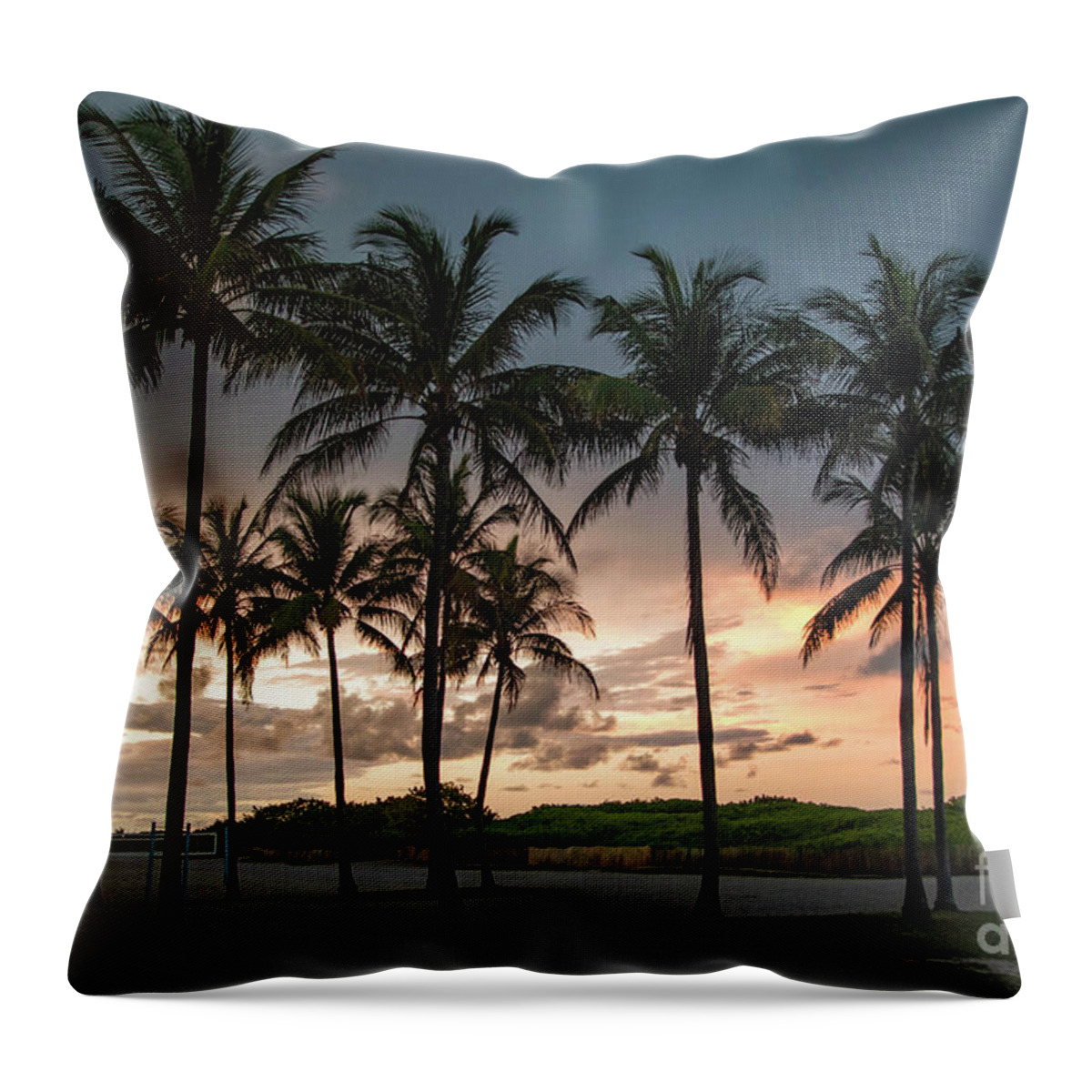 Sunset Throw Pillow featuring the photograph Palm Tree Sunset, South Beach, Miami, Florida by Beachtown Views