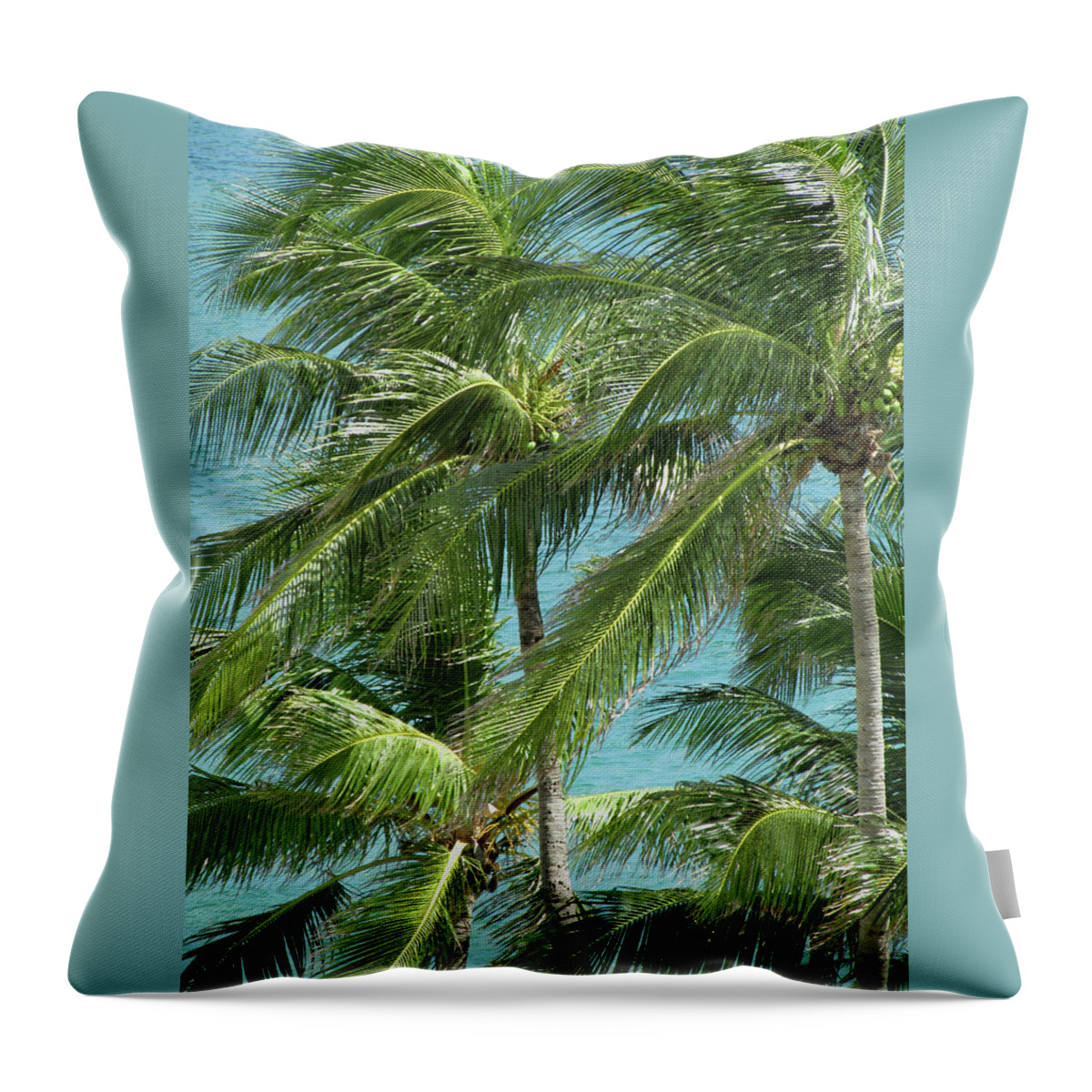 Palm Throw Pillow featuring the photograph Palm Trees by the Ocean by Corinne Carroll