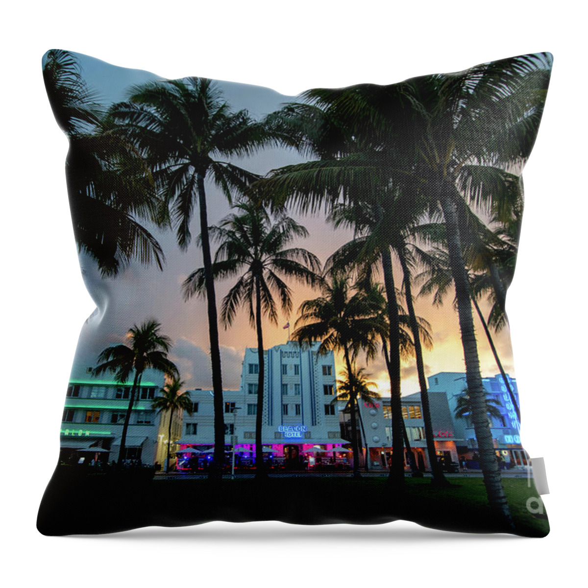 Palm Throw Pillow featuring the photograph Palm Trees on Ocean Drive South Beach Miami at Night by Beachtown Views