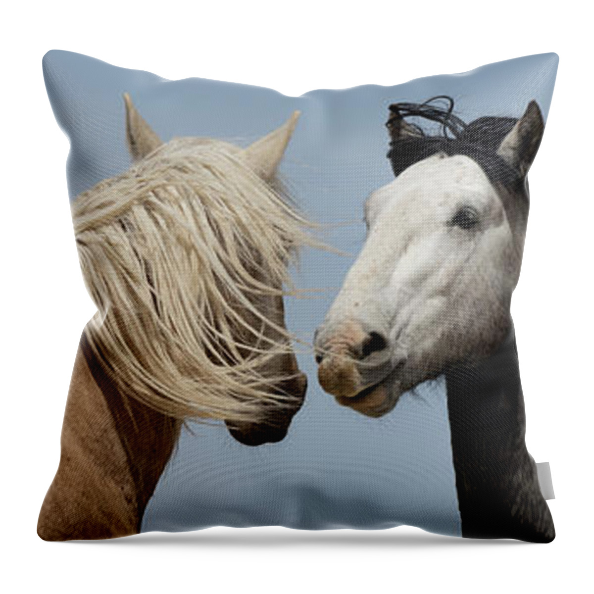 Panorama Throw Pillow featuring the photograph Palomino and a Gray by Mary Hone