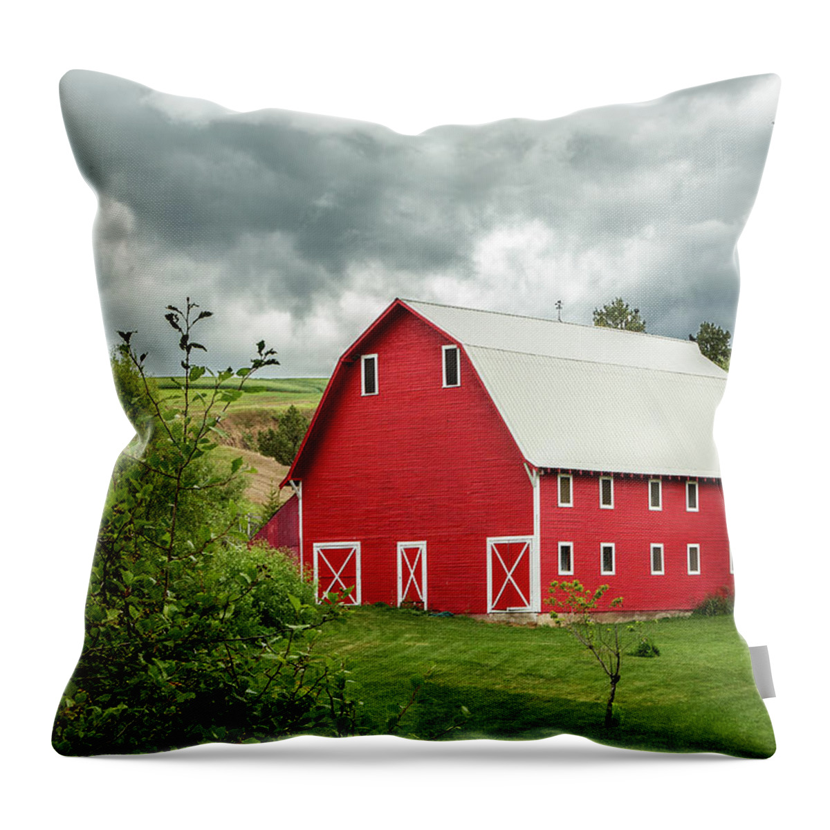 Farm Throw Pillow featuring the photograph Palouse Barn by Bob Cournoyer