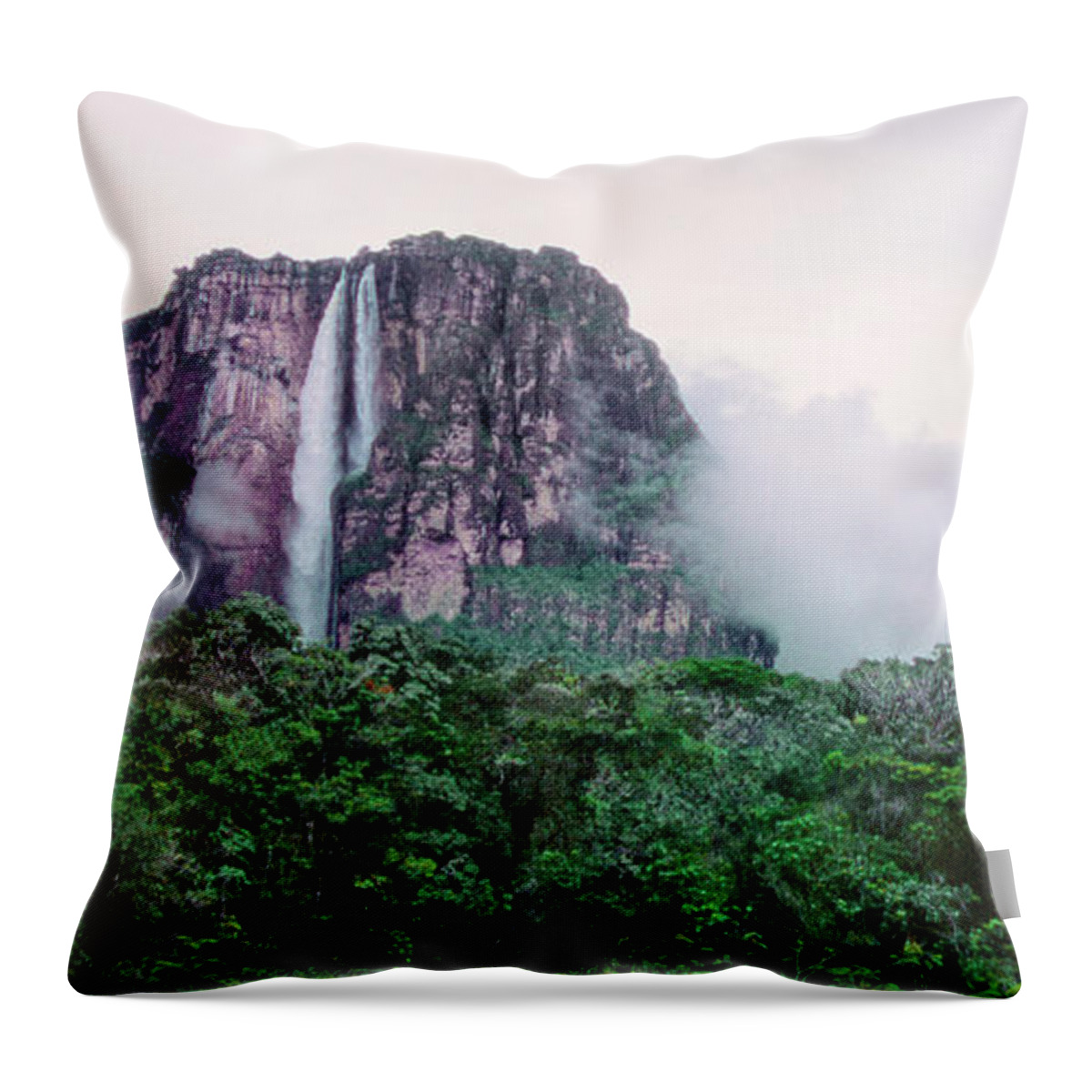 Dave Welling Throw Pillow featuring the photograph Panorama Angel Falls Canaima Np Venezuela by Dave Welling