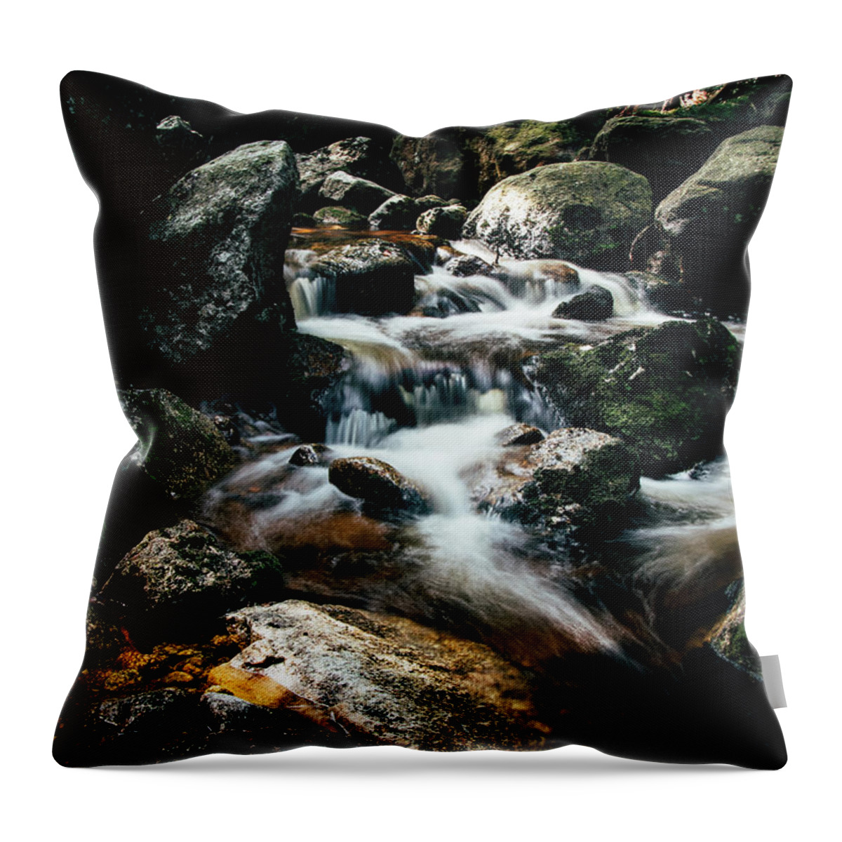 Jizera Mountains Throw Pillow featuring the photograph Picturesque river hidden in the Jizera Mountains by Vaclav Sonnek