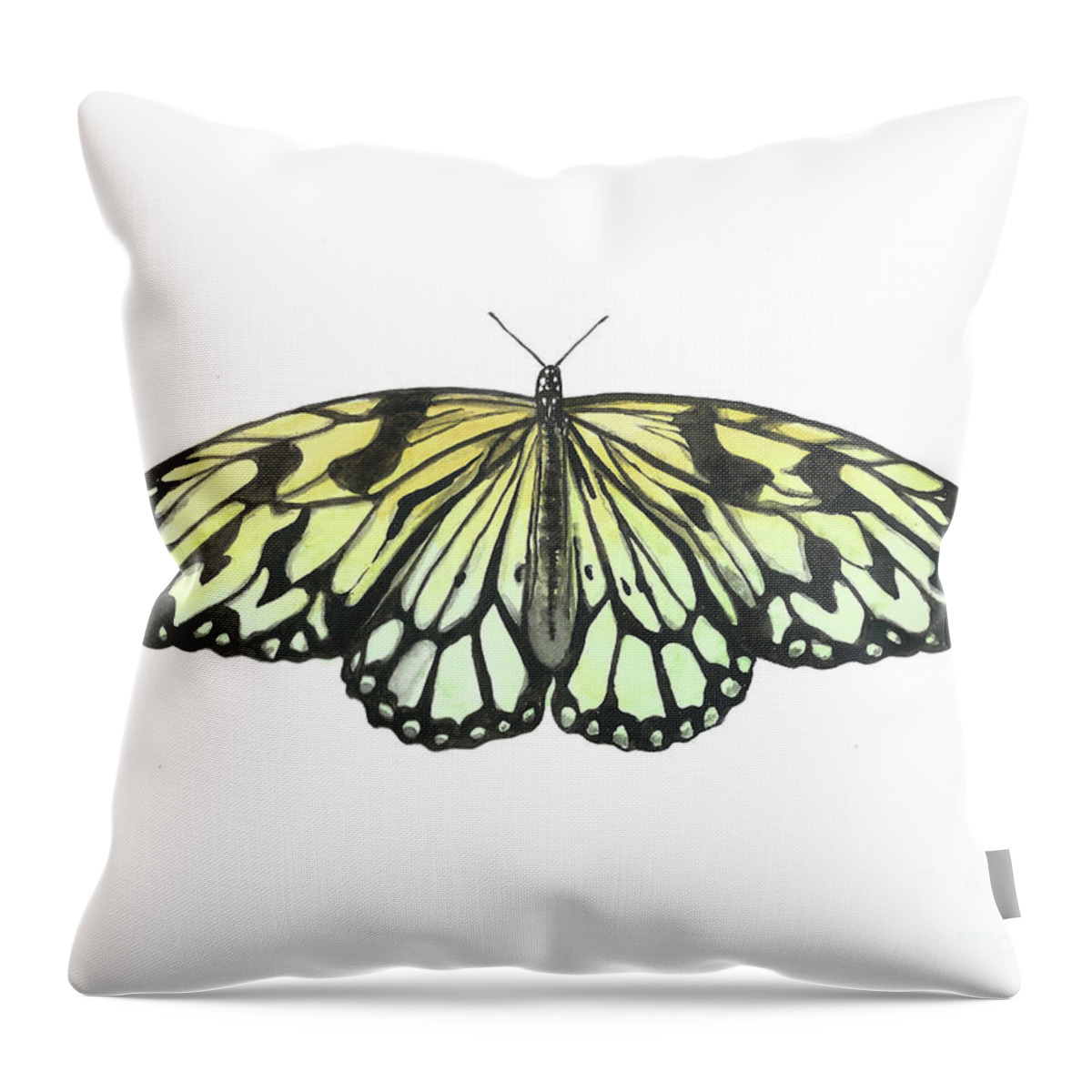 Butterfly Throw Pillow featuring the painting Paper Kite Butterfly by Pamela Schwartz