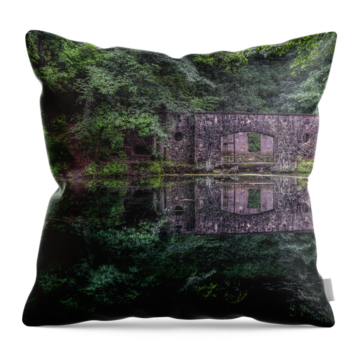 Paradise Springs Throw Pillow featuring the photograph Paradise Reflections by Brad Bellisle