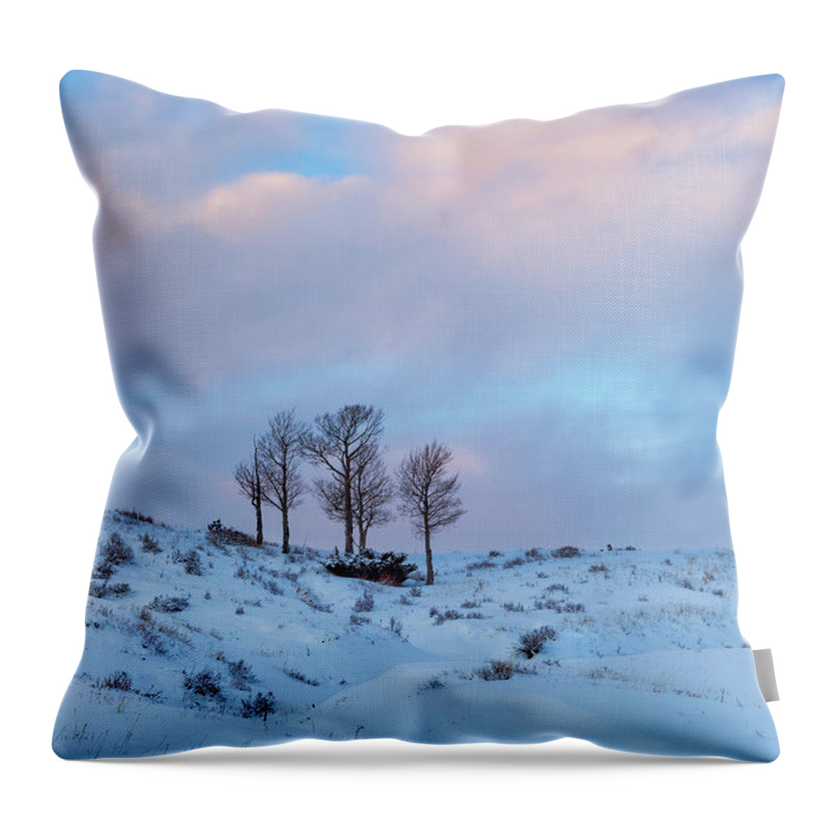 Winter Throw Pillow featuring the photograph Party Of Five by Denise Bush
