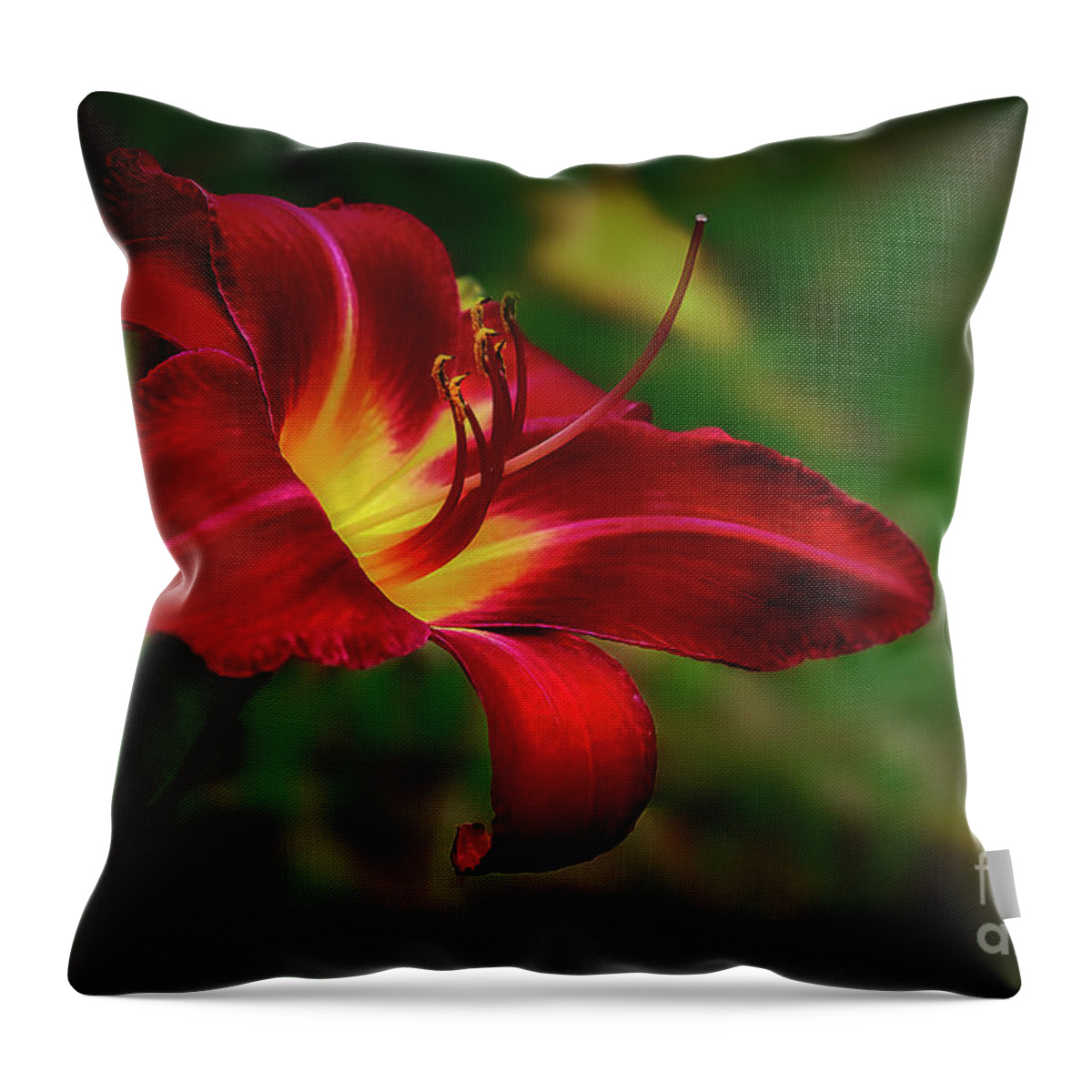Blossom Throw Pillow featuring the photograph Passion for Red Daylily by Shelia Hunt