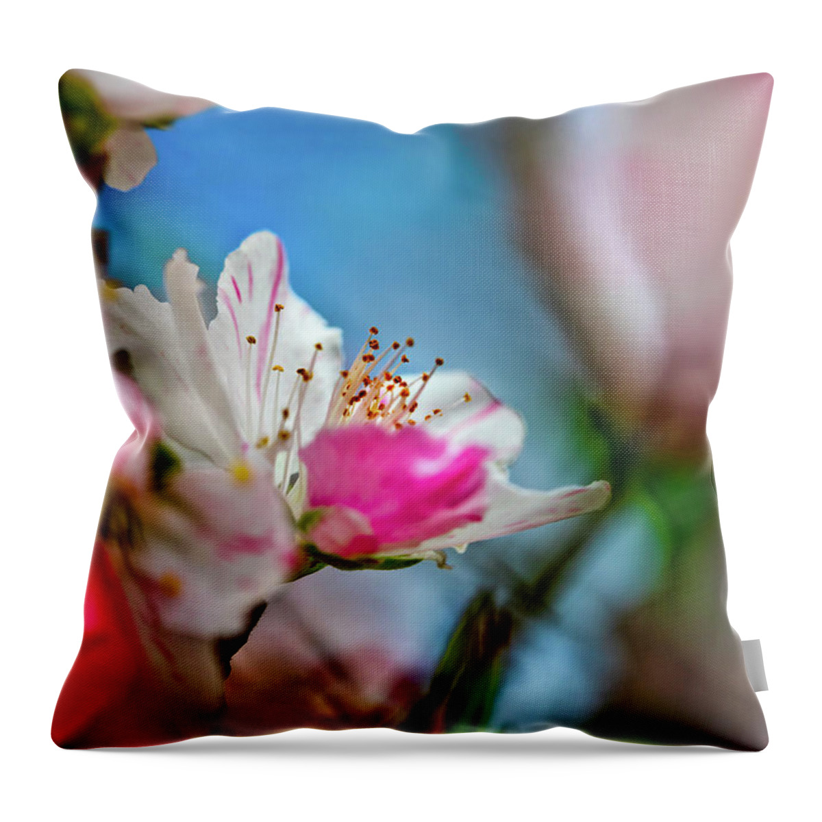 Tropical Dreams Throw Pillow featuring the photograph Passions of Spring by Az Jackson