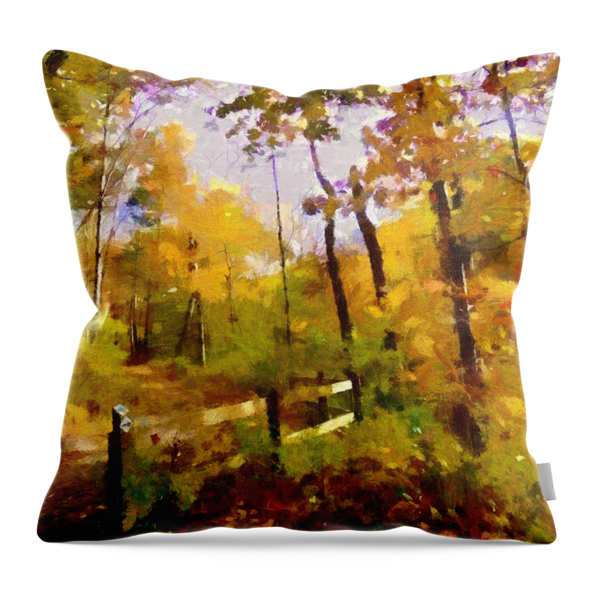 Autumn Throw Pillow featuring the mixed media Path into November by Christopher Reed