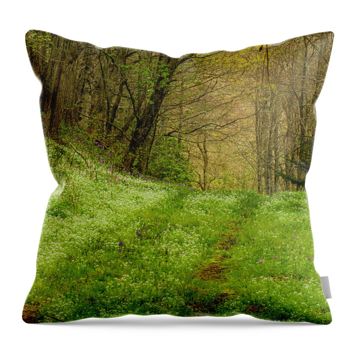 Blue Ridge Mountains Throw Pillow featuring the photograph Path Less Traveled by Melissa Southern