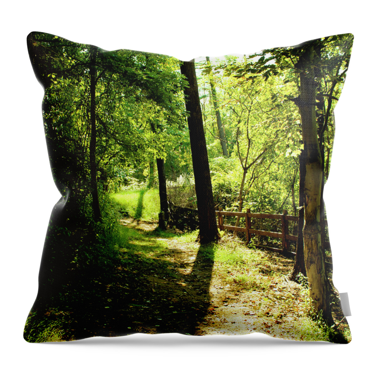 Trees Throw Pillow featuring the photograph Path out of Summer by Christopher Reed