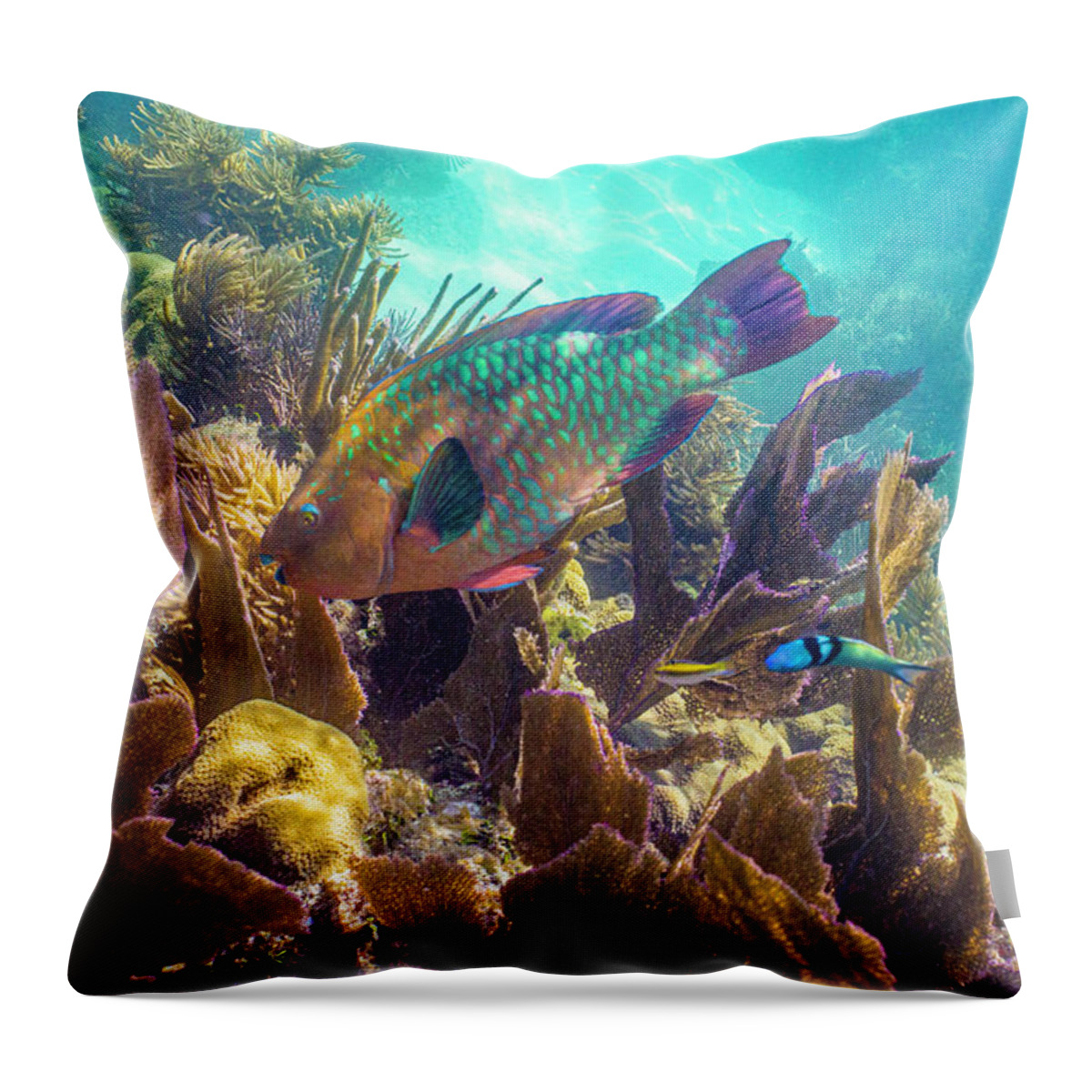 Animals Throw Pillow featuring the photograph Path to Atlantis by Lynne Browne