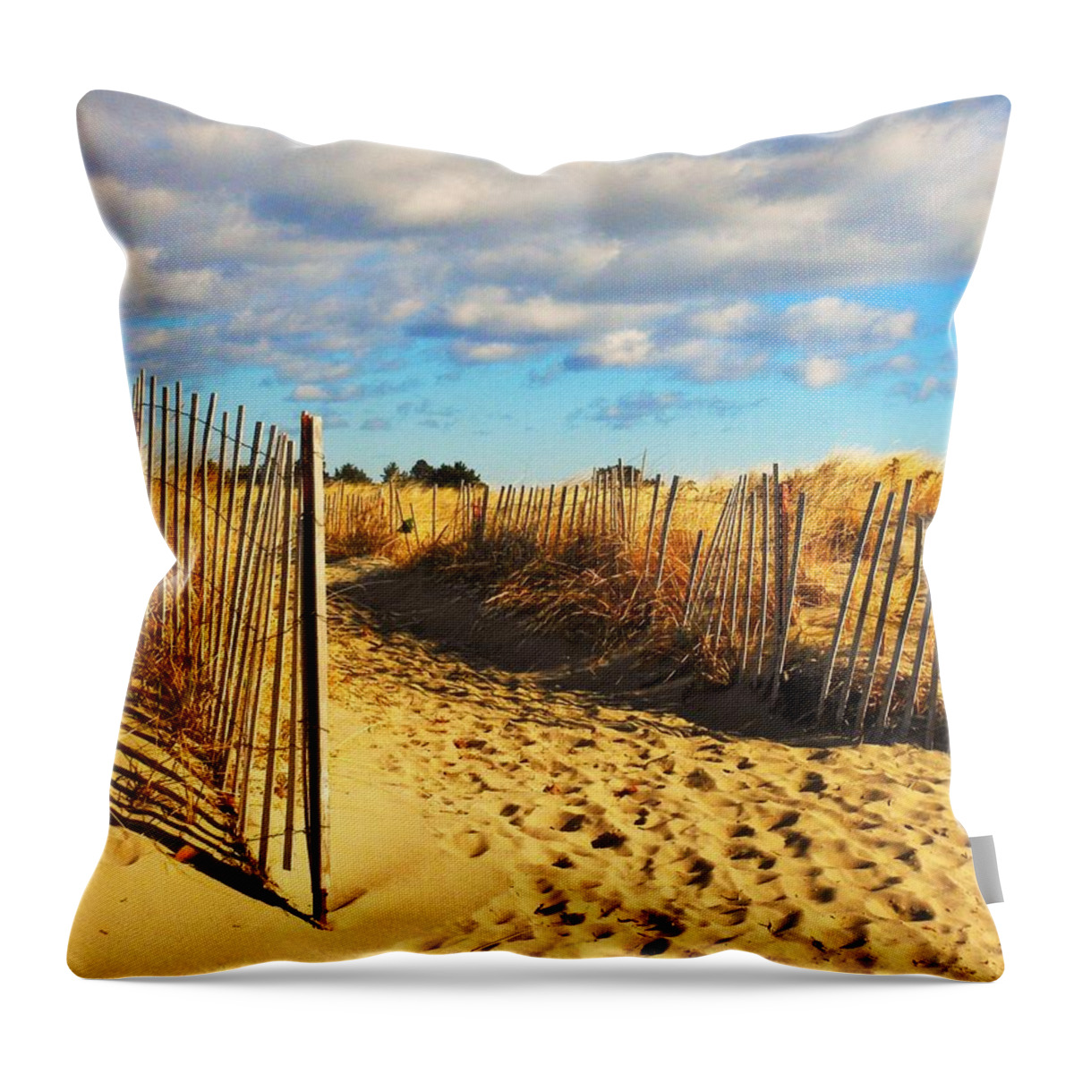 Sand Dunes Throw Pillow featuring the photograph Pathway through the Dunes by Eunice Miller