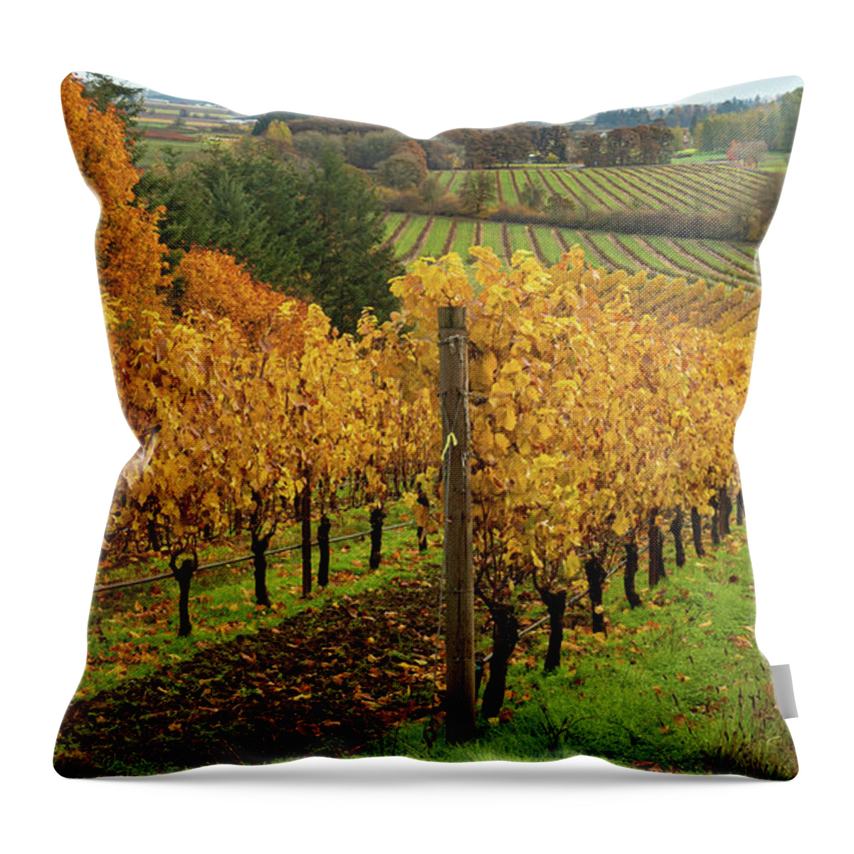 Vineyard Throw Pillow featuring the photograph Patterns of Fall in the Vineyard by Leslie Struxness