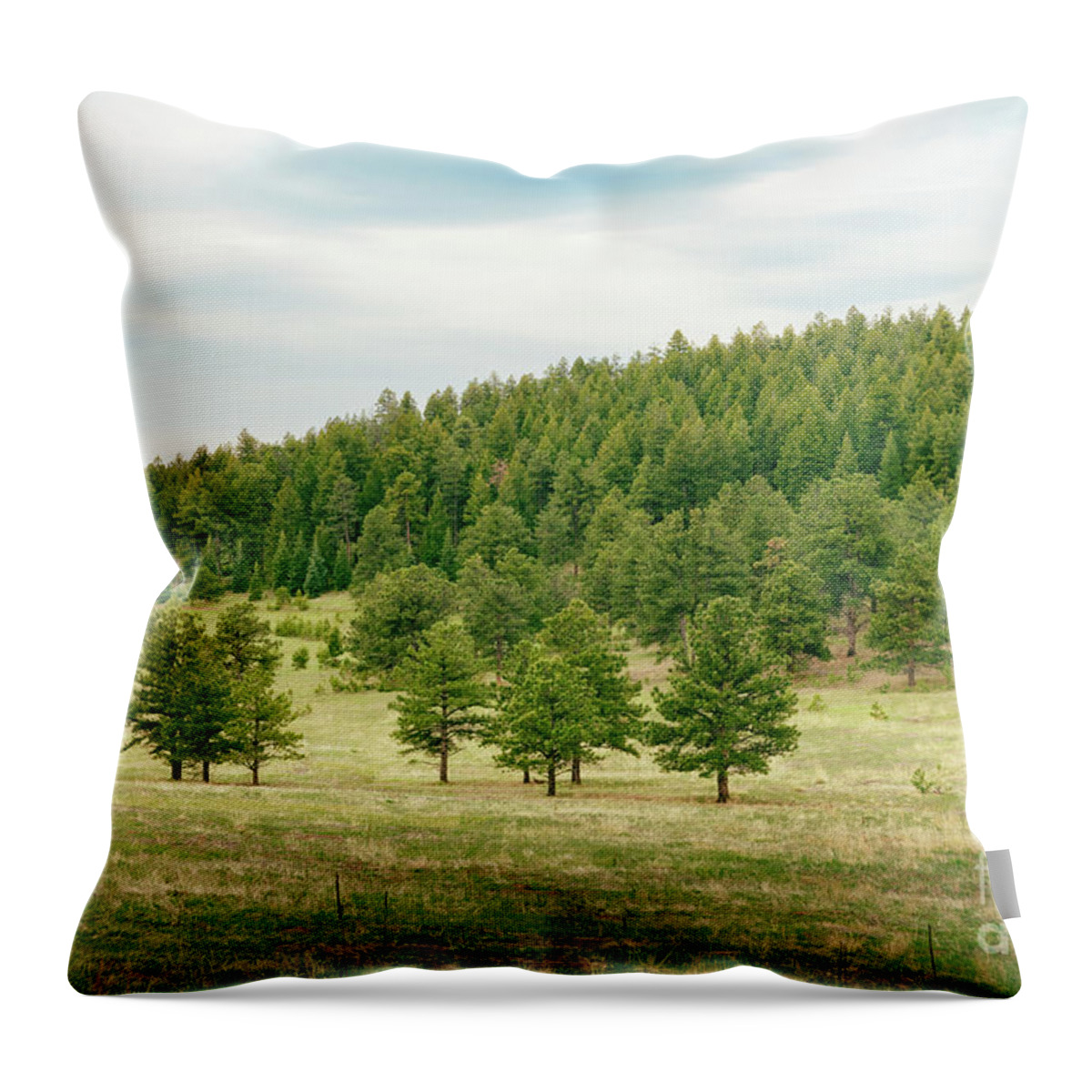 Green Throw Pillow featuring the photograph Peaceful Greens by Ana V Ramirez