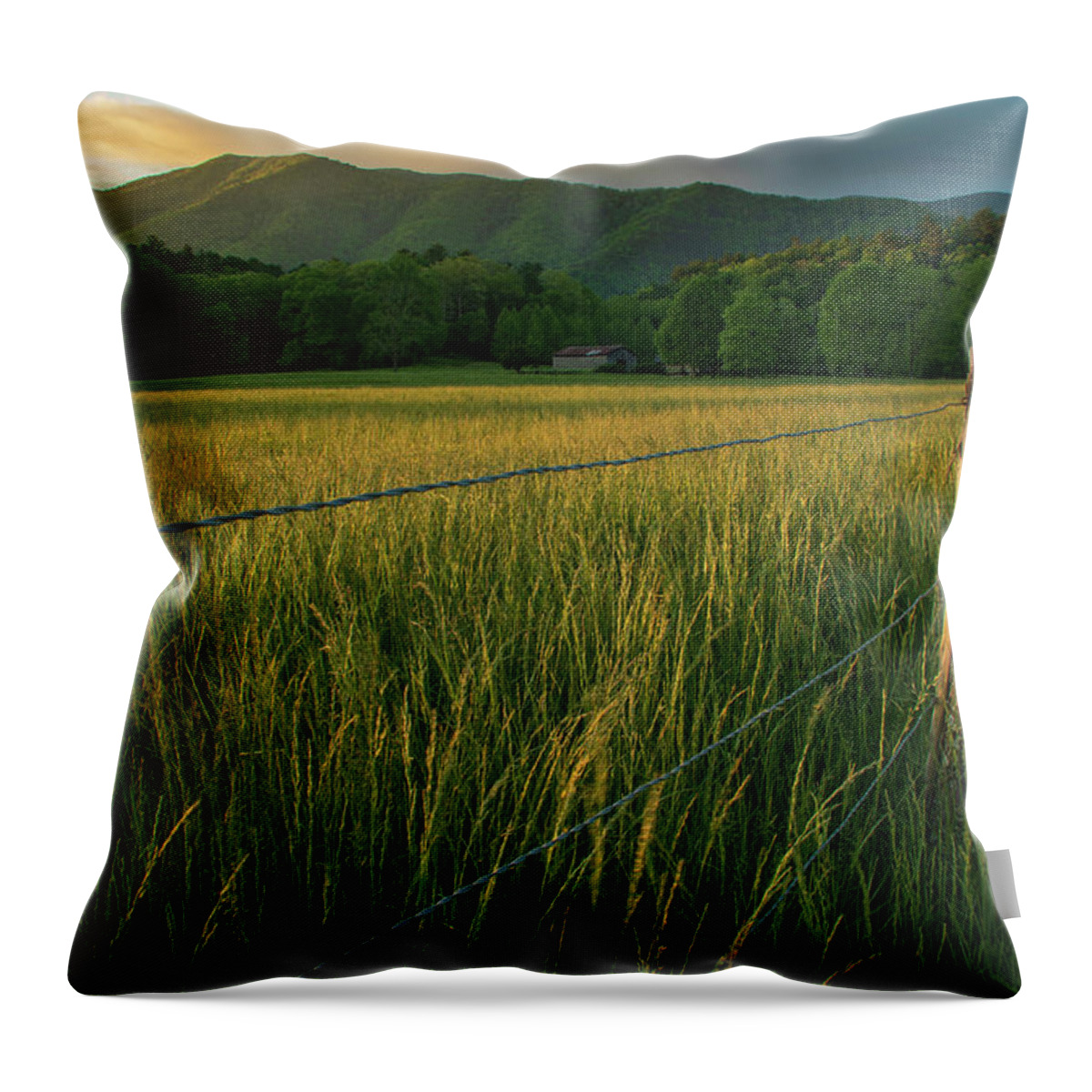 Dawn Throw Pillow featuring the photograph Peaceful Morning by Melissa Southern