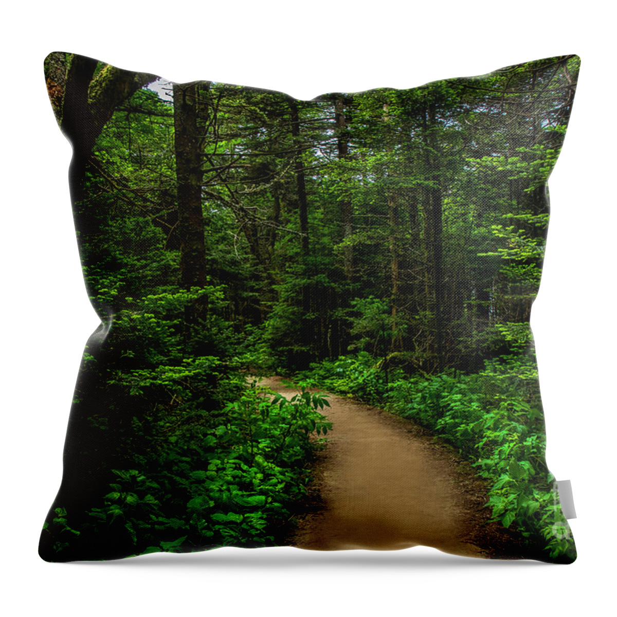 Trail Throw Pillow featuring the photograph Peaceful trail on Roan Mountain by Shelia Hunt