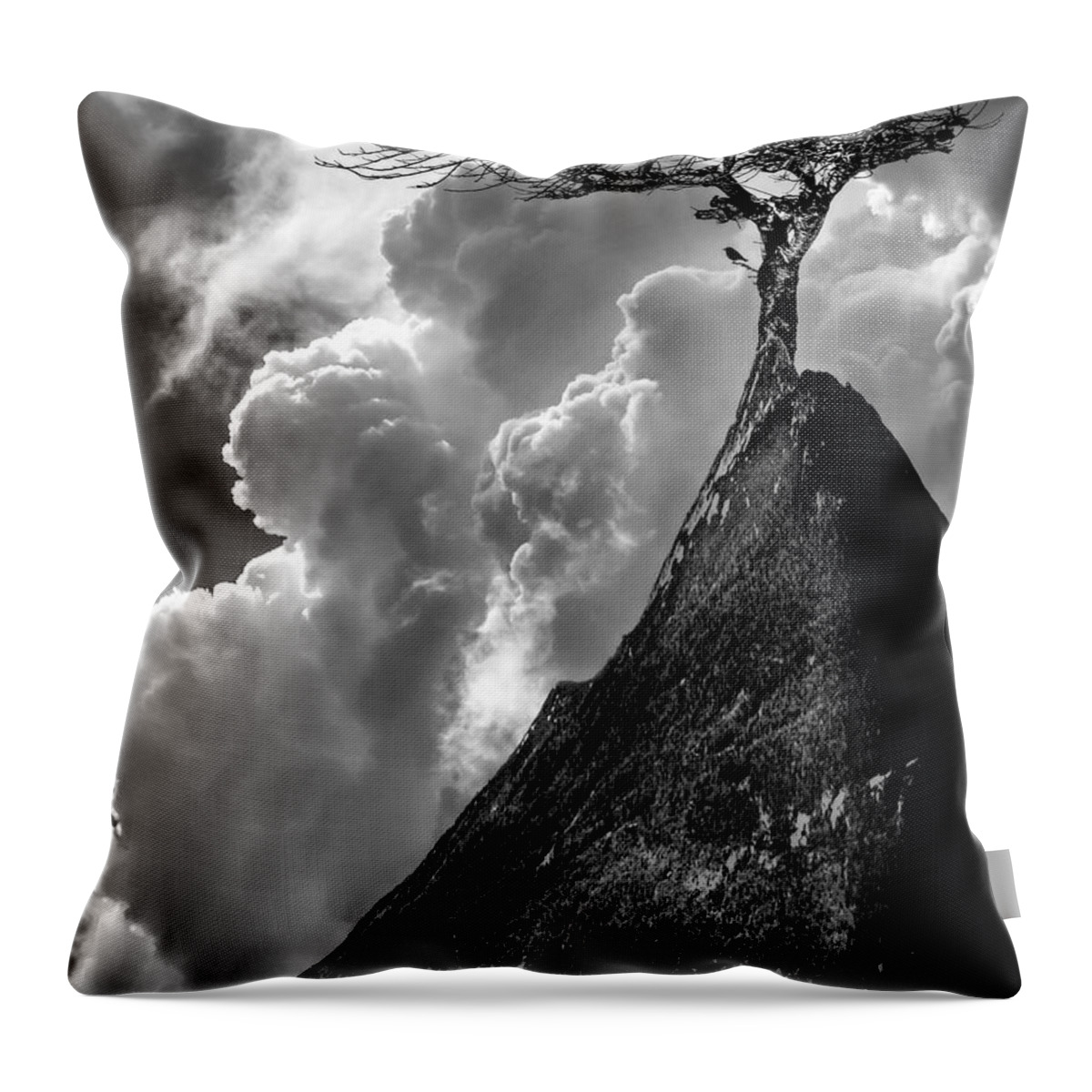 Fine Art Throw Pillow featuring the photograph Peaks and valleys by Sofie Conte