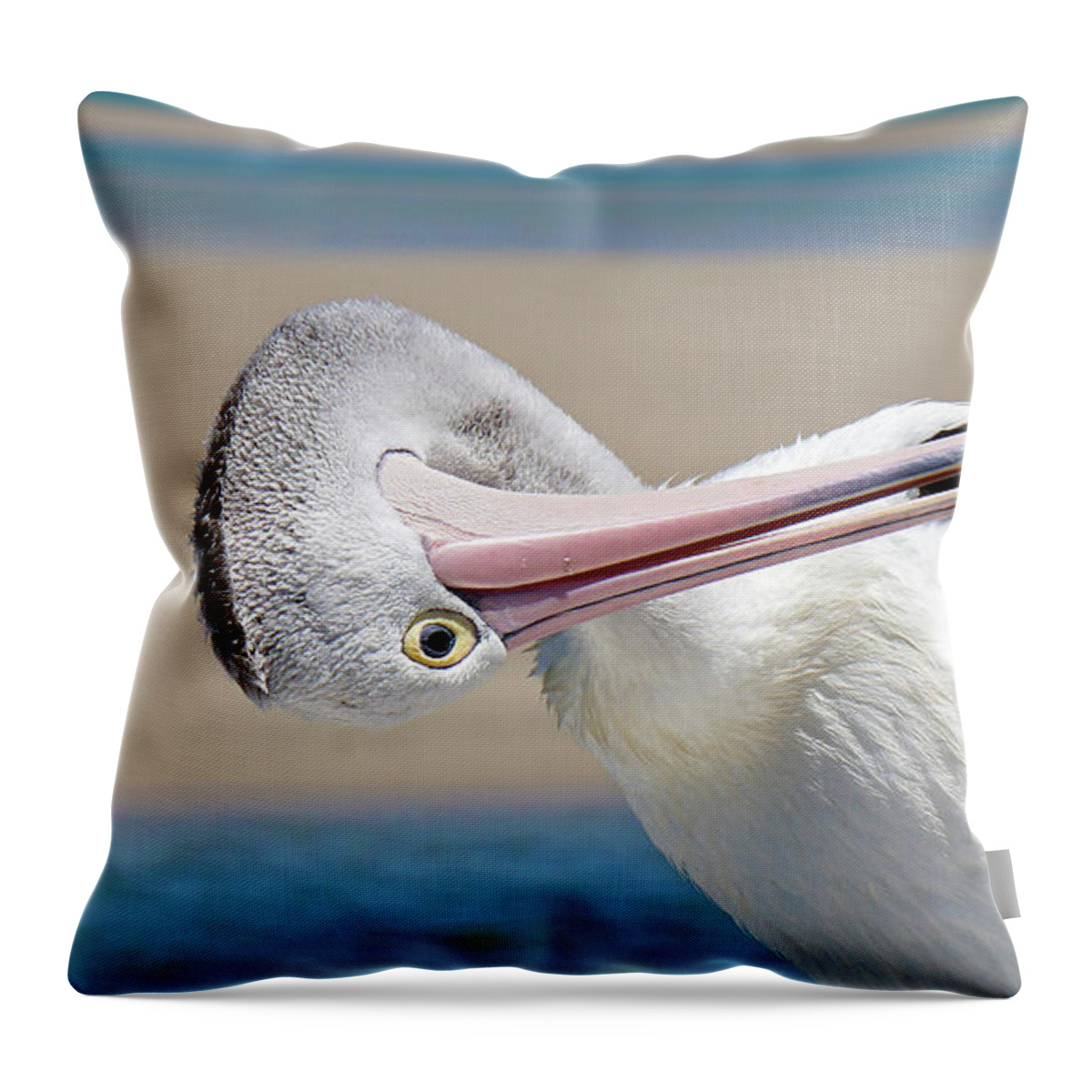 Australian Pelican Throw Pillow featuring the digital art Pelican care 027 by Kevin Chippindall