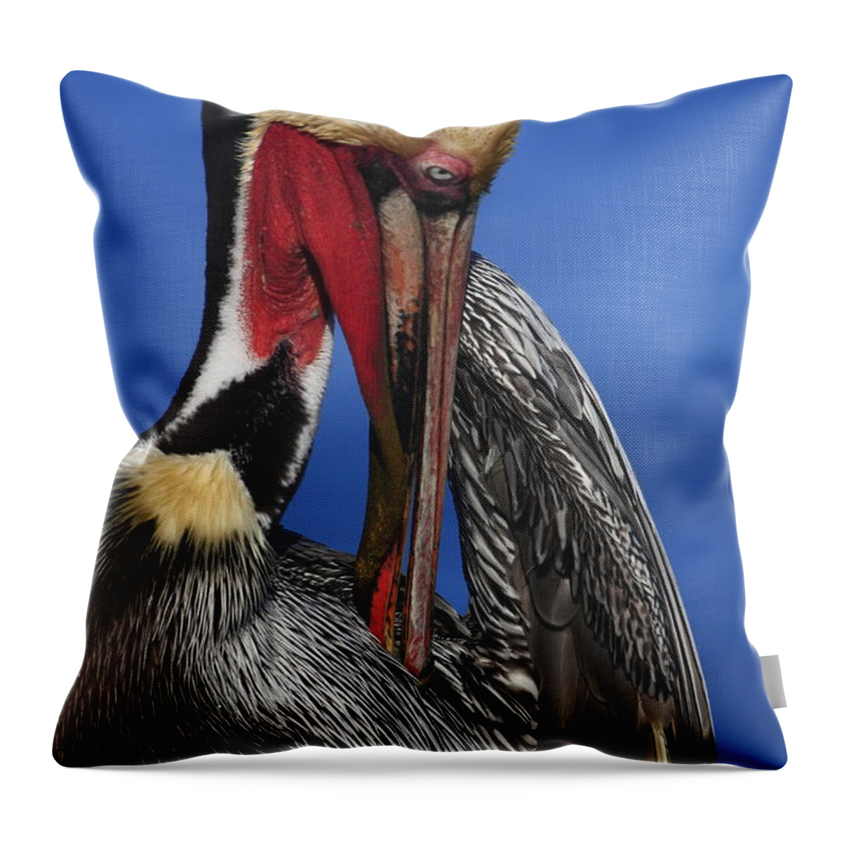 Pelicans Throw Pillow featuring the photograph Pelican In Breeding Colors by John F Tsumas