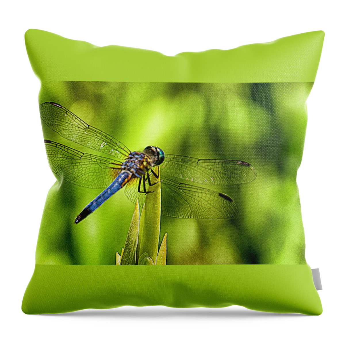 Dragonfly Throw Pillow featuring the photograph Pensive Dragon by Bill Barber