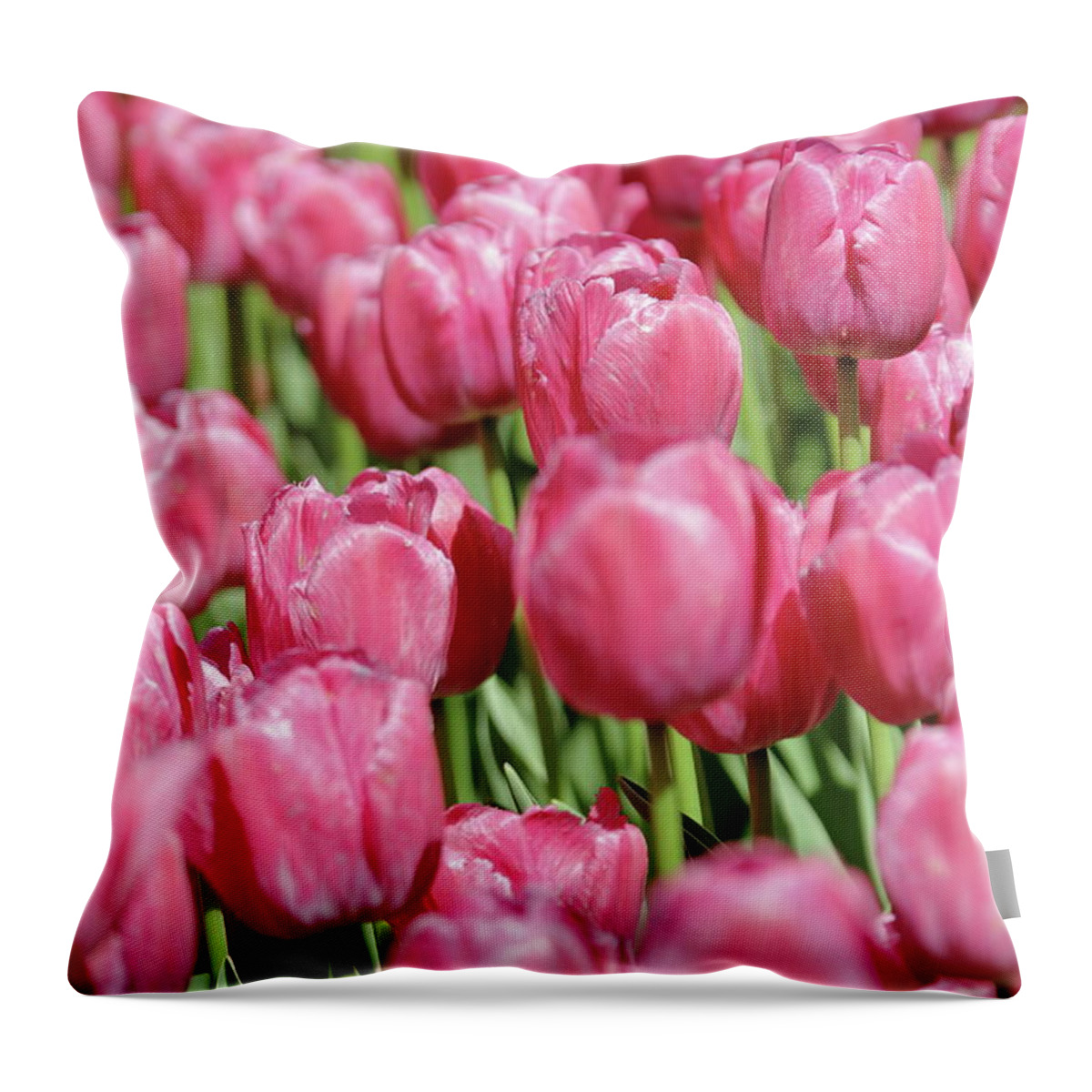 Nature Throw Pillow featuring the photograph Perplexing Pink by Lens Art Photography By Larry Trager