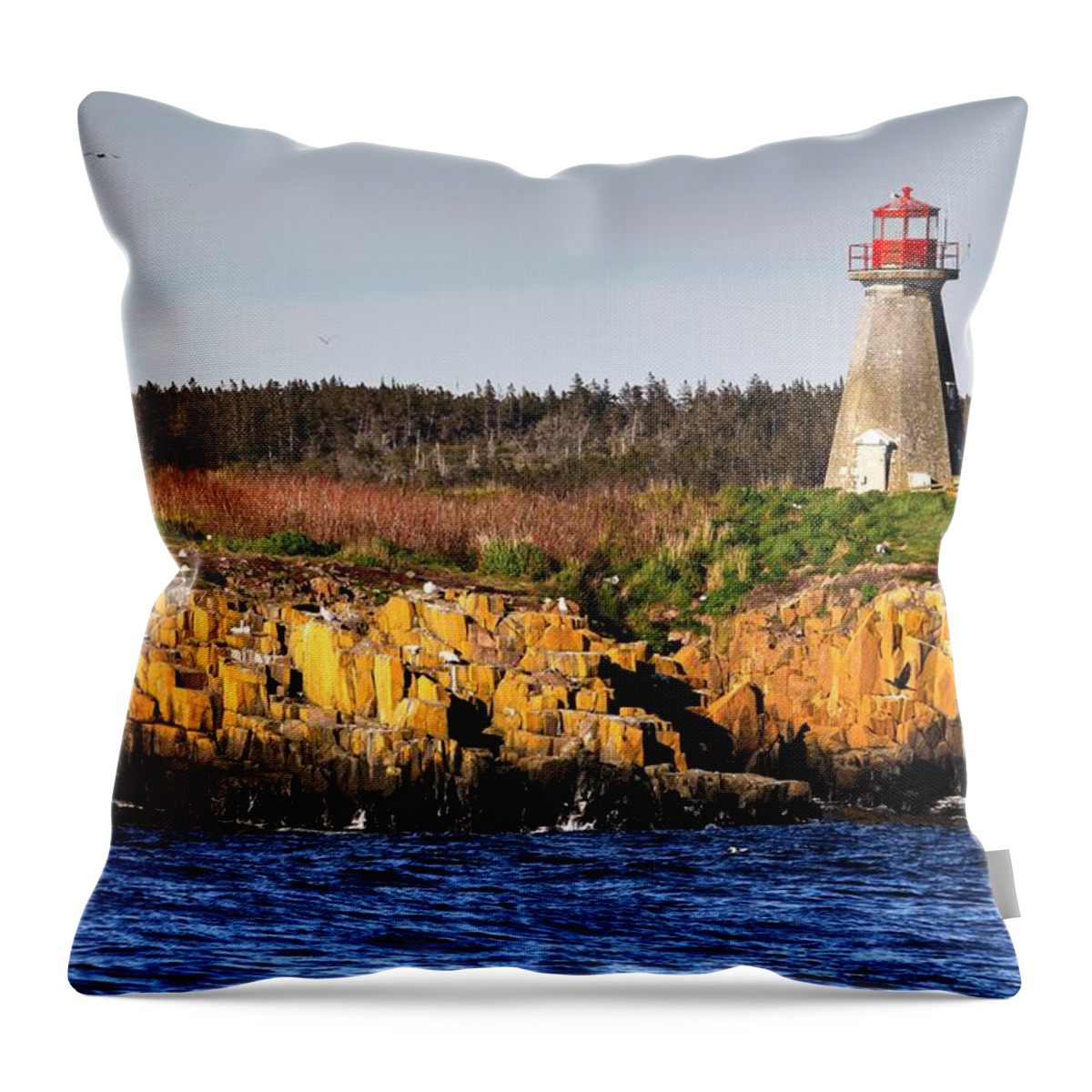 Light House Island Peters Island Gulls Rocks Sea Ocean Nova Scotia Throw Pillow featuring the photograph Peters Light House by David Matthews