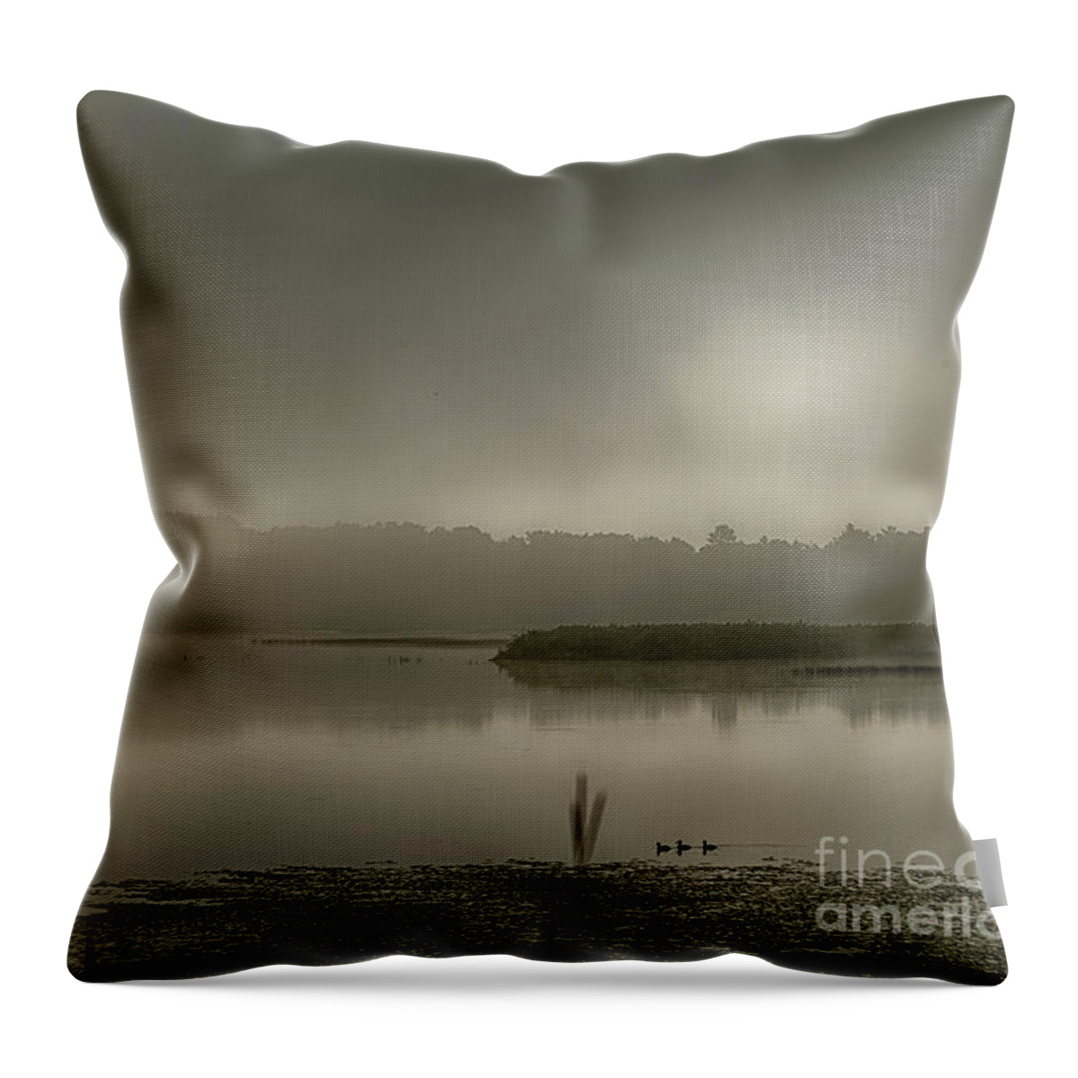  Throw Pillow featuring the photograph Phantom Lake by Natural Focal Point Photography