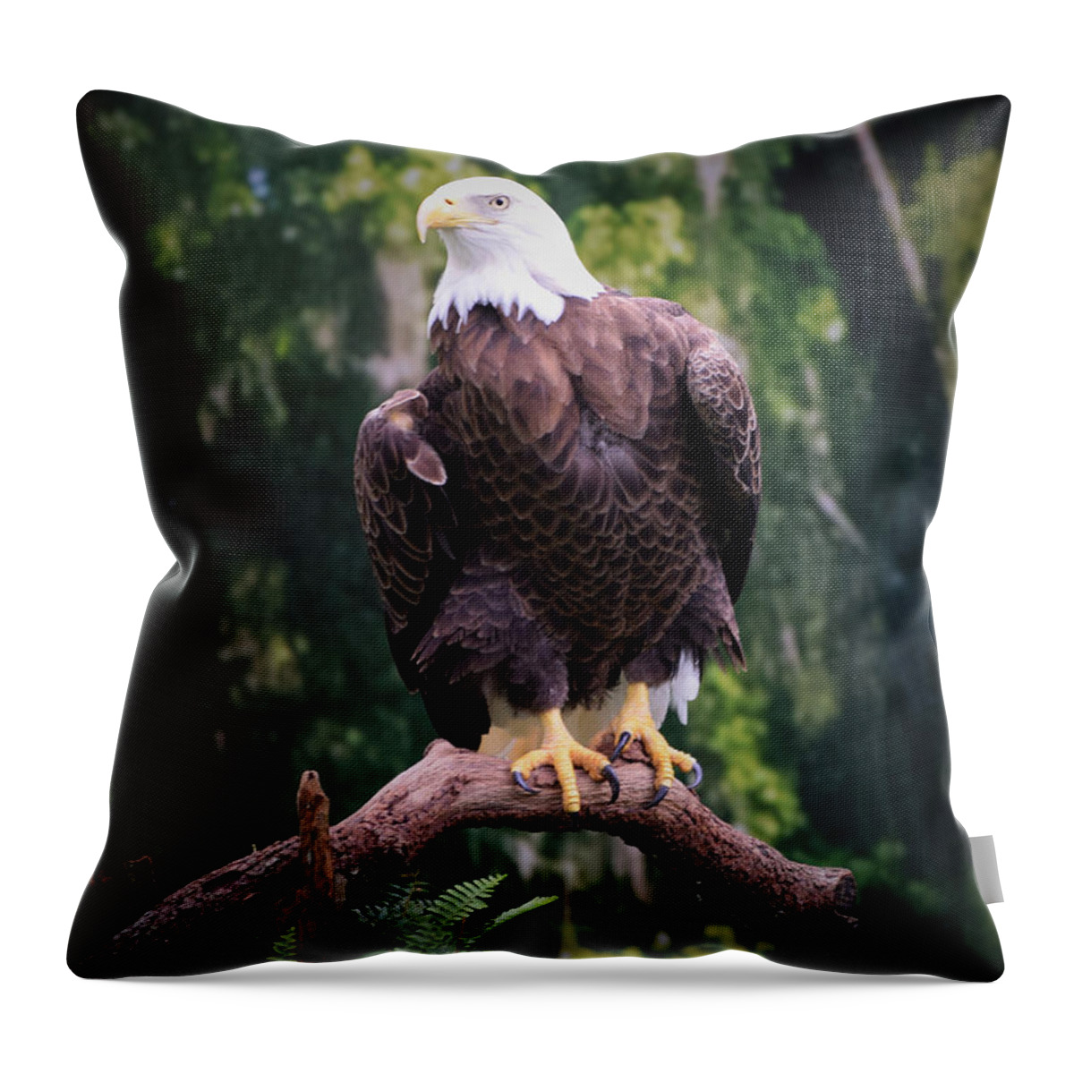 Eagle Throw Pillow featuring the photograph Photo 75 American Eagle by Lucie Dumas