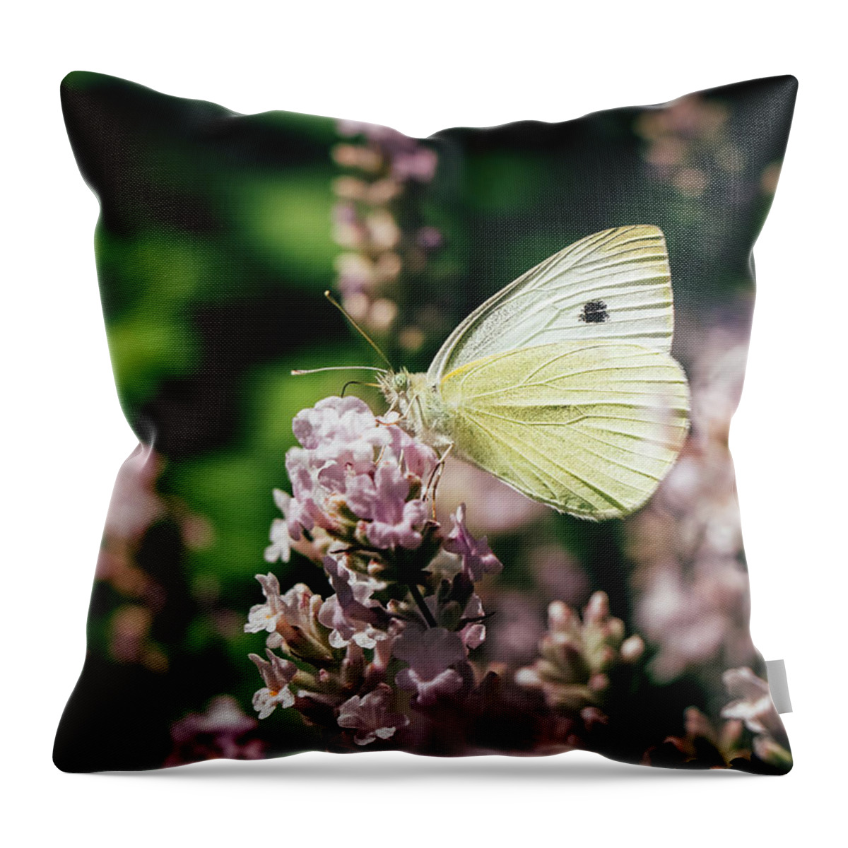 Creature Throw Pillow featuring the photograph Pieris rapae sits on pink flower by Vaclav Sonnek
