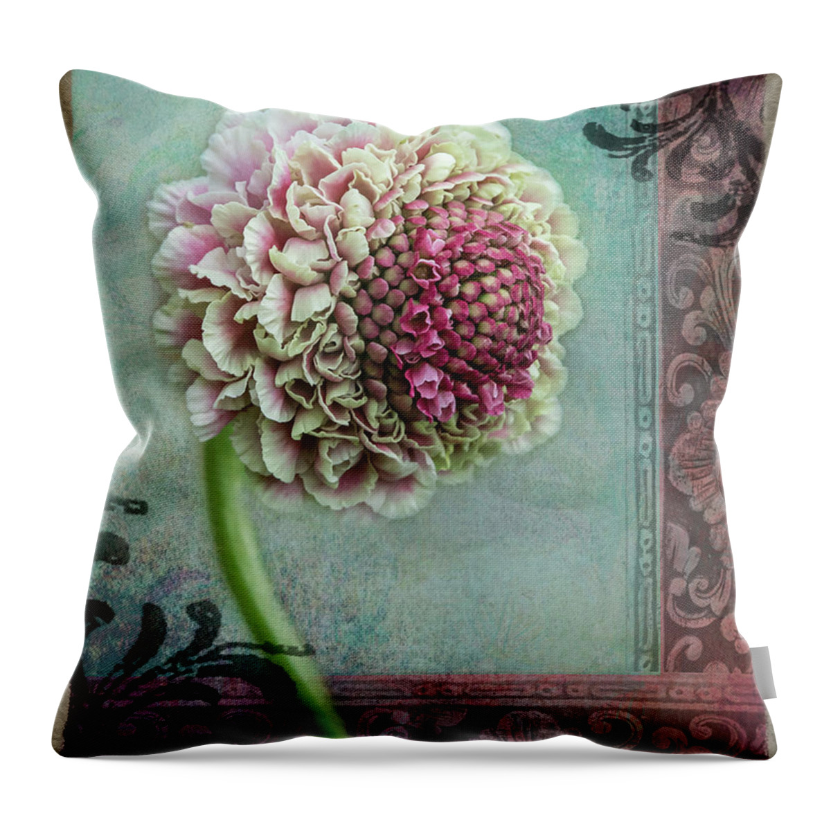 Fine Art Throw Pillow featuring the photograph Pincushion Collage-Right by Shara Abel
