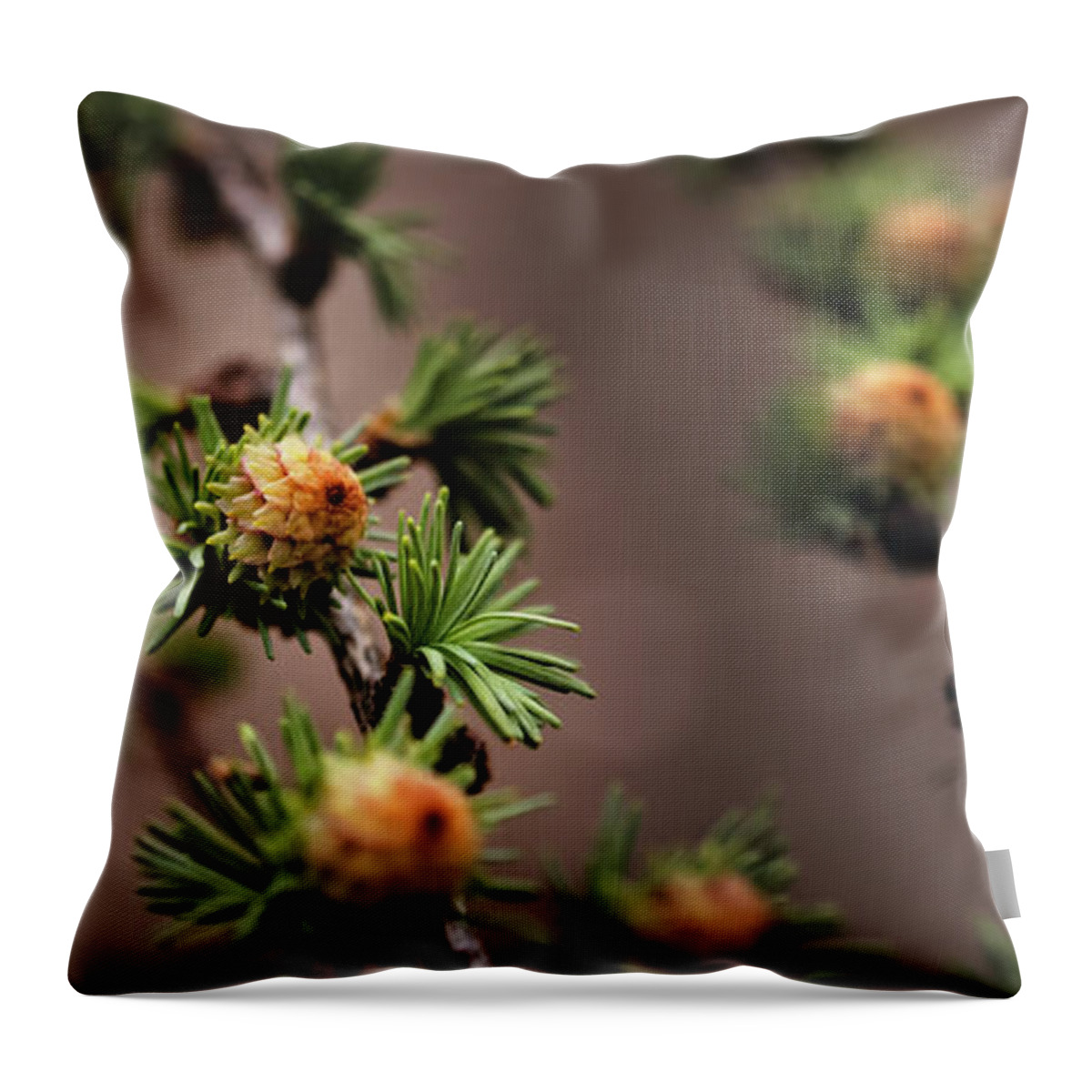 Tree Throw Pillow featuring the photograph Pine cones by M Fotograaf