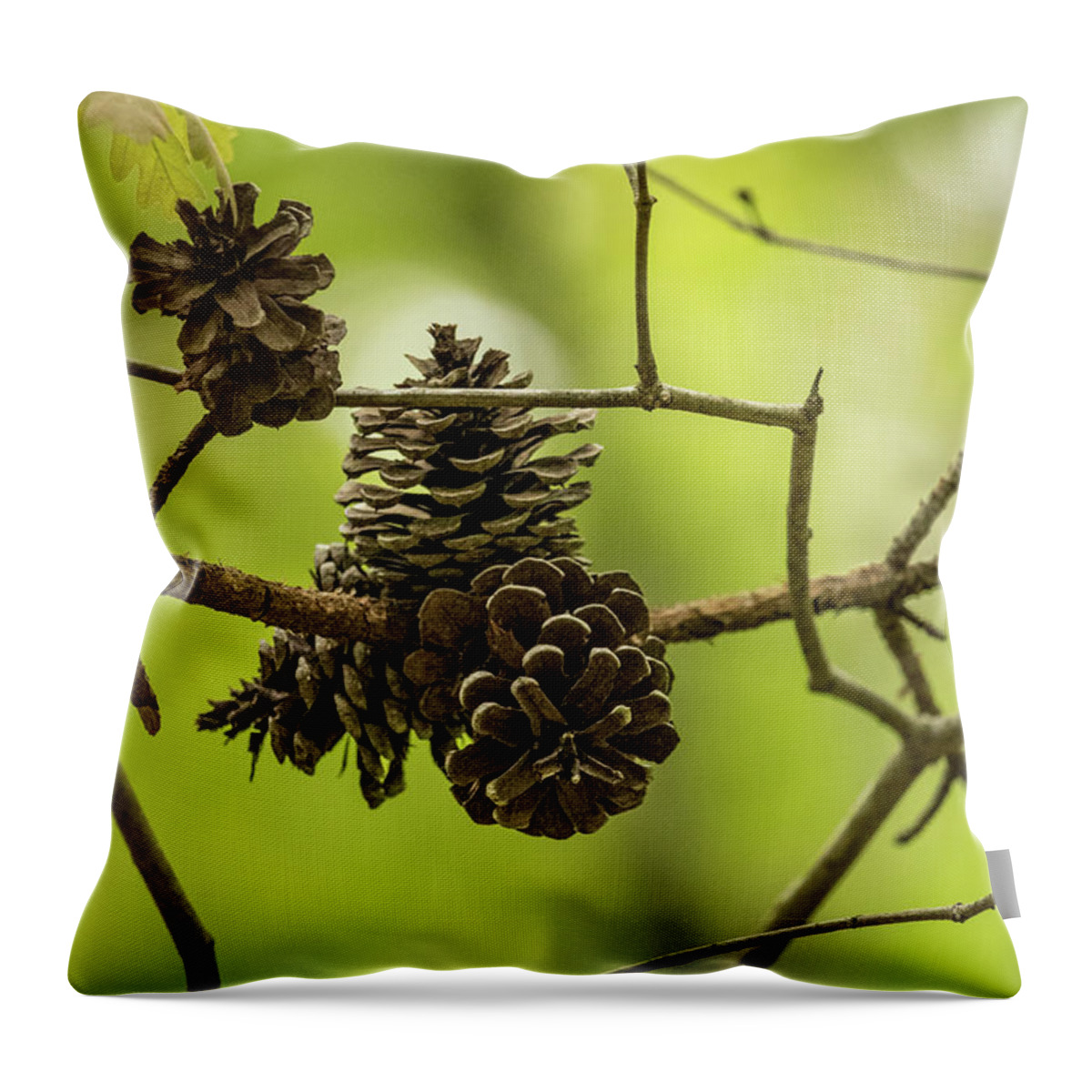 Cone Throw Pillow featuring the photograph Pine Cones by Rick Nelson