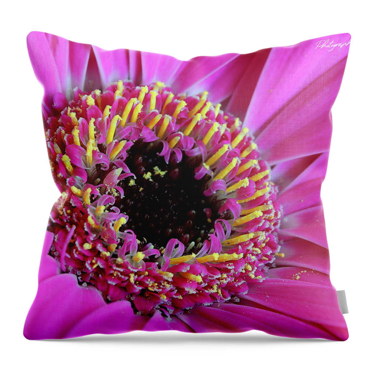 Flowers Throw Pillow featuring the digital art Pink 59 by Kevin Chippindall