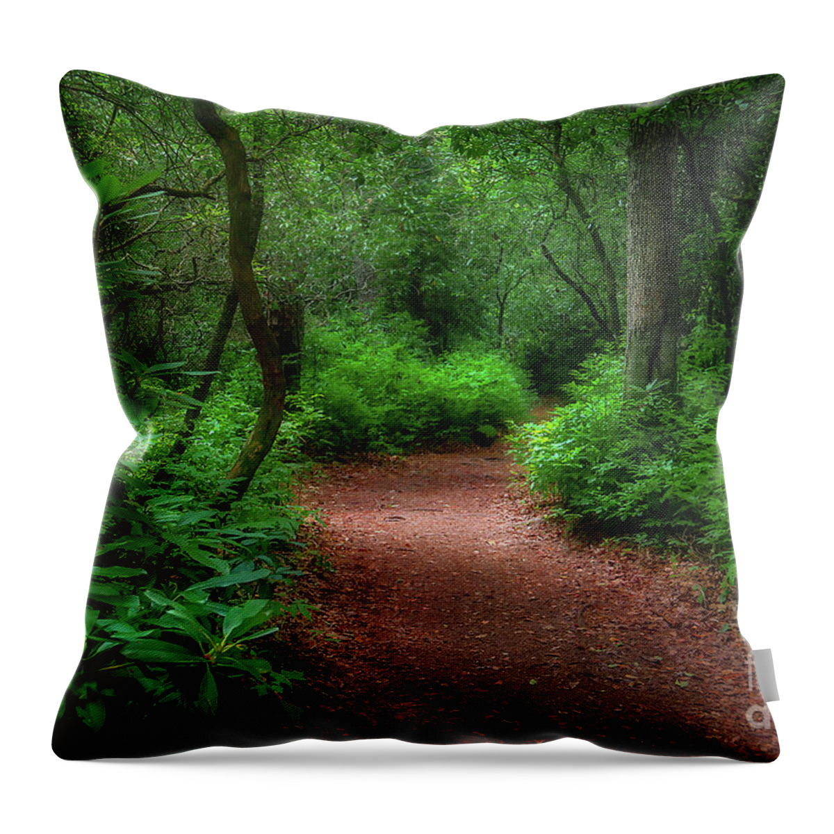 Trail Throw Pillow featuring the photograph Pink Beds Trail II by Shelia Hunt