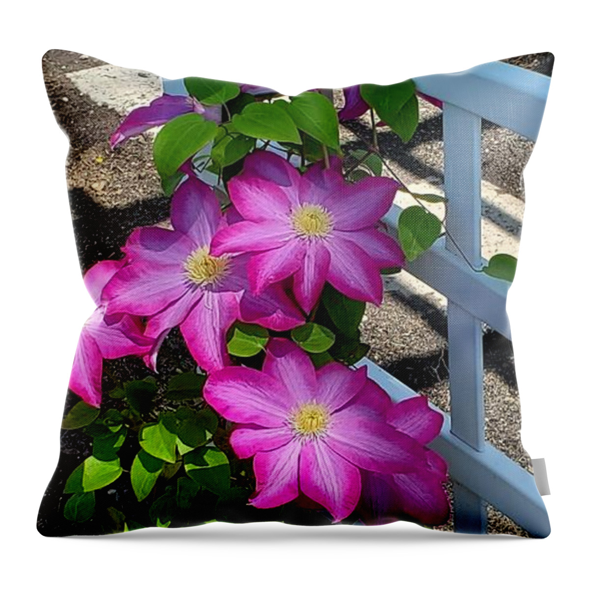 Clematis Flower Throw Pillow featuring the photograph Pink Champagne Clematis by Stacie Siemsen
