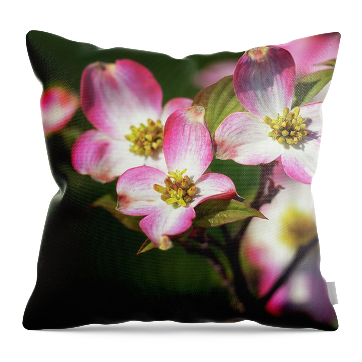 Pink Dogwood Throw Pillow featuring the photograph Pink Dogwood Blossoms by Susan Rissi Tregoning
