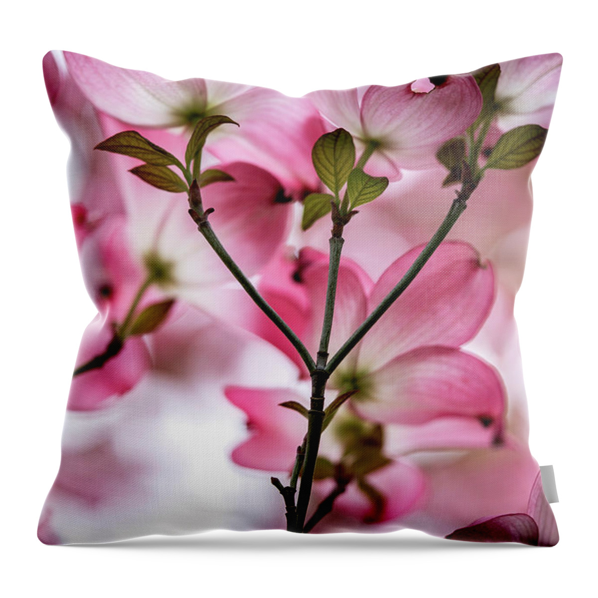 Dogwood Throw Pillow featuring the photograph Pink Dogwood Tree in Spring by Ada Weyland