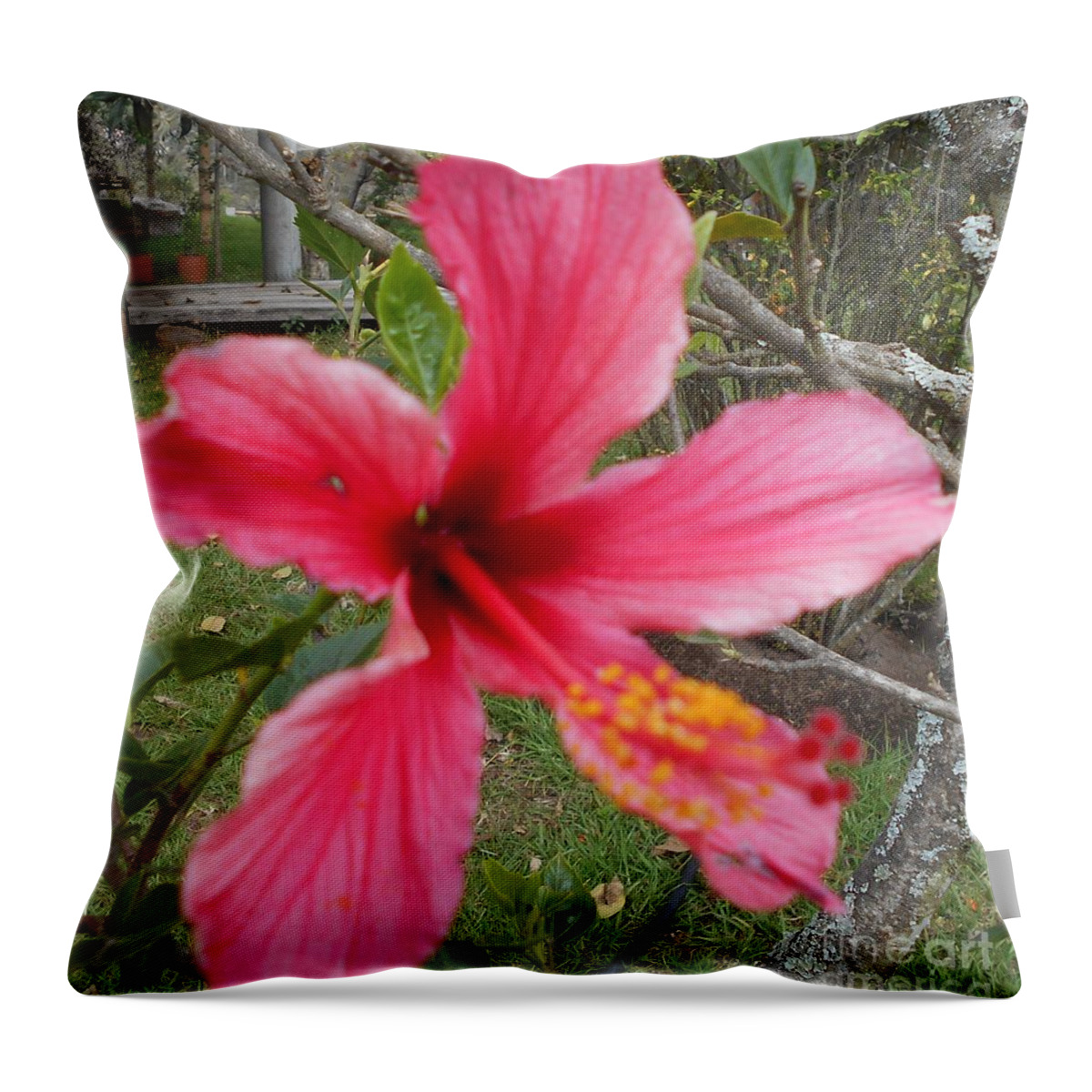Pink Throw Pillow featuring the photograph Pink Hibiscus by Nancy Graham