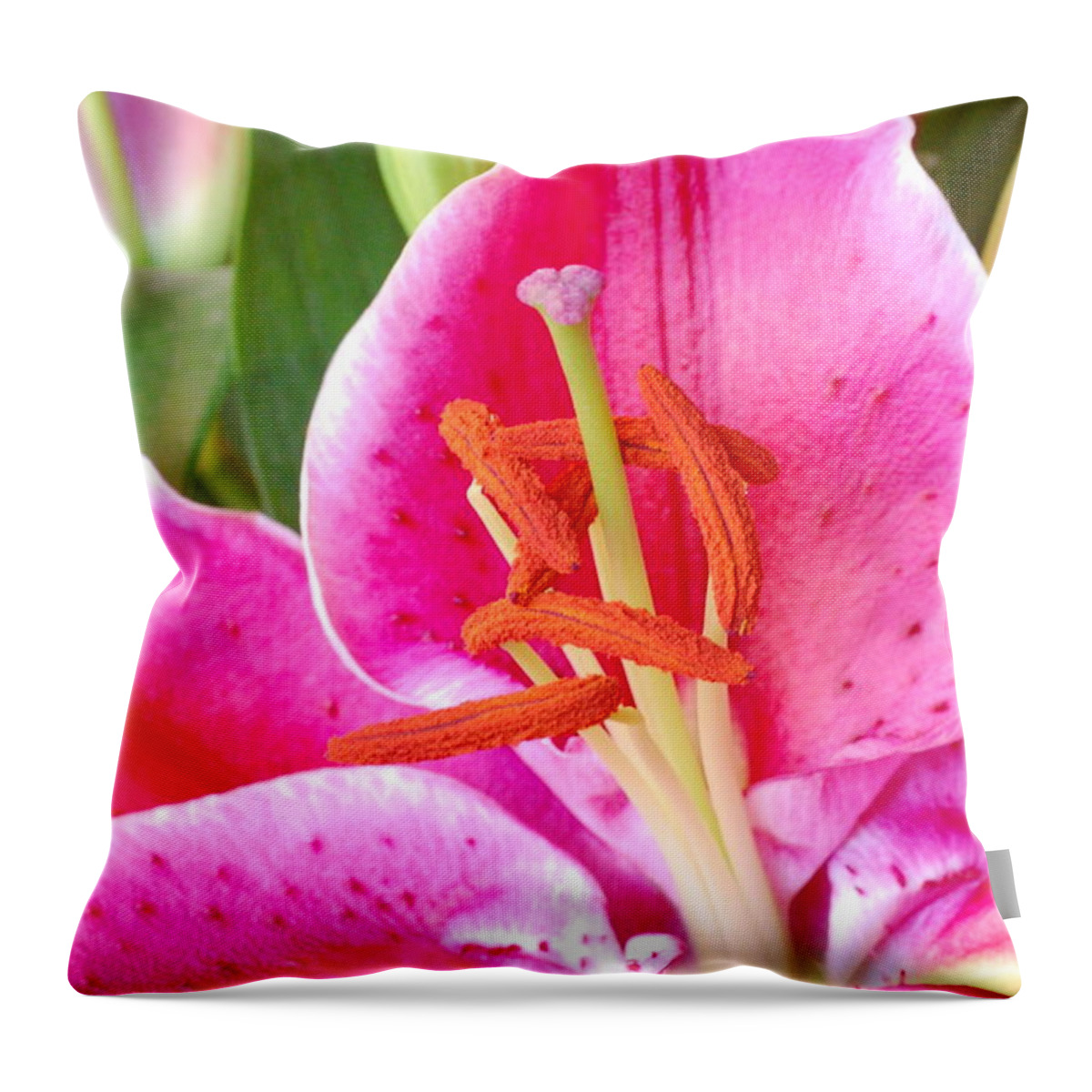 Lily Throw Pillow featuring the photograph Pink Lily 2 by Amy Fose