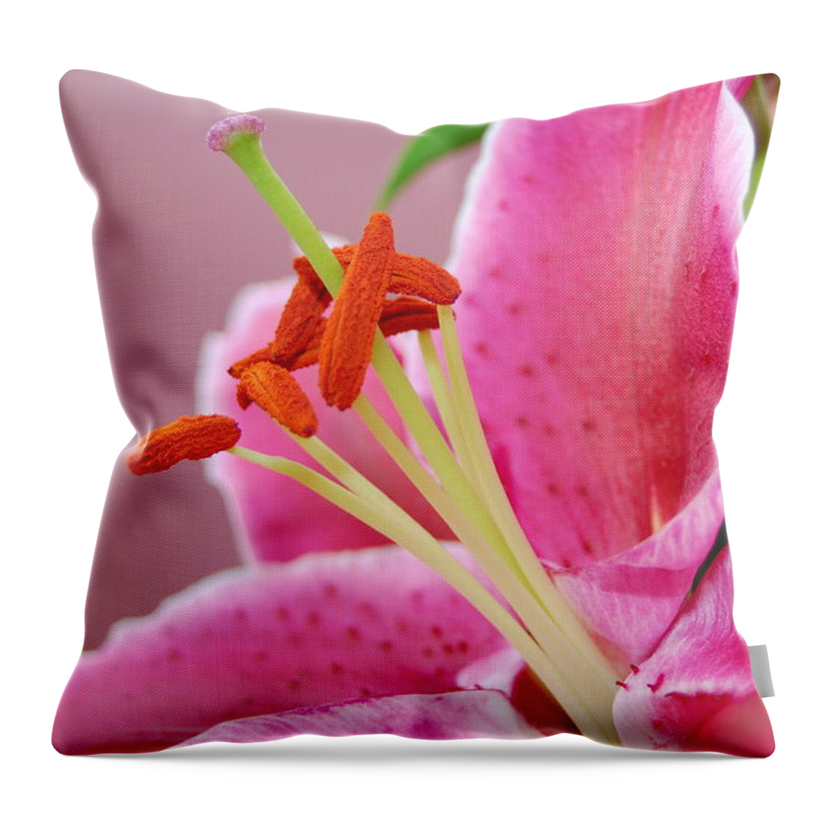 Lily Throw Pillow featuring the photograph Pink Lily 4 by Amy Fose