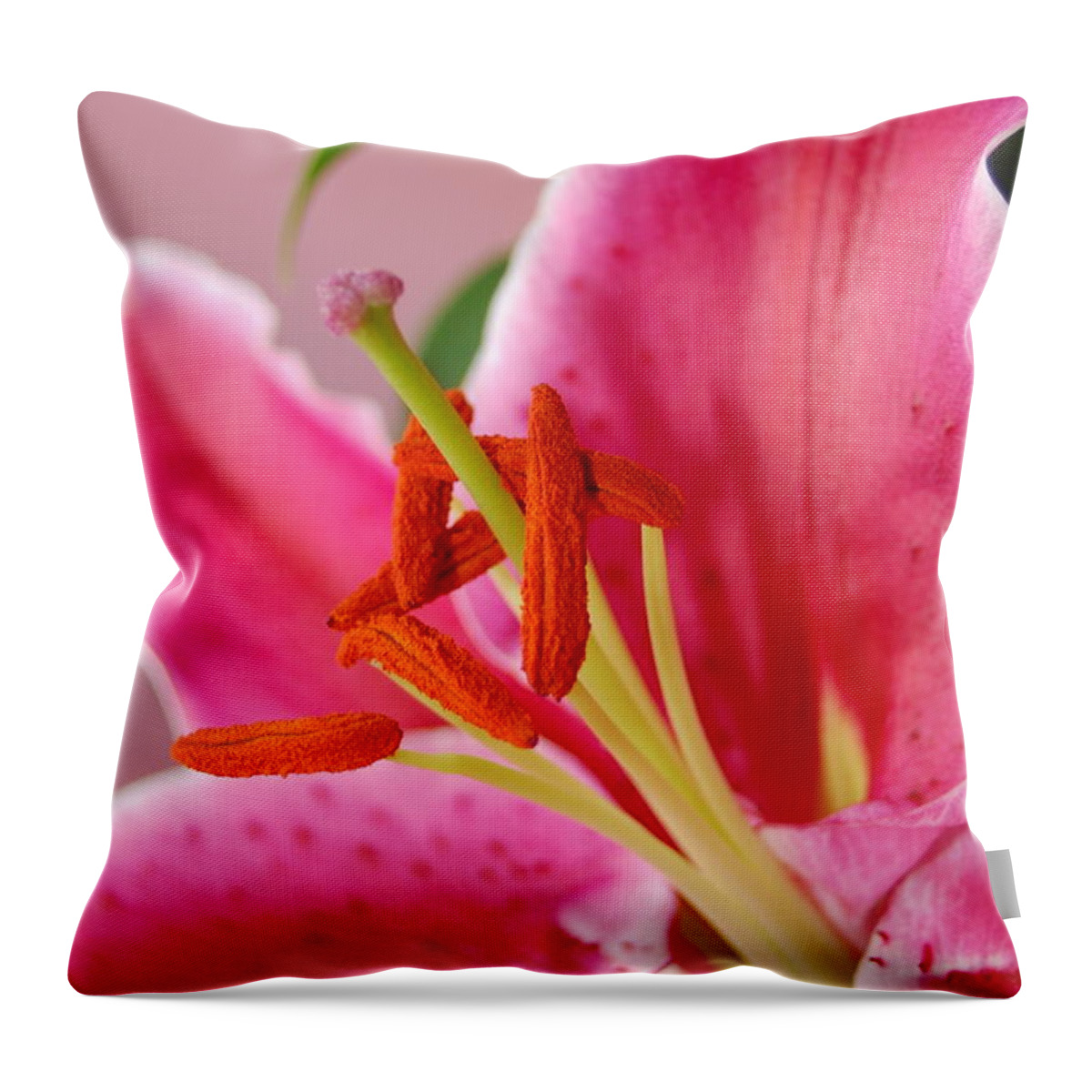 Lily Throw Pillow featuring the photograph Pink Lily 6 by Amy Fose