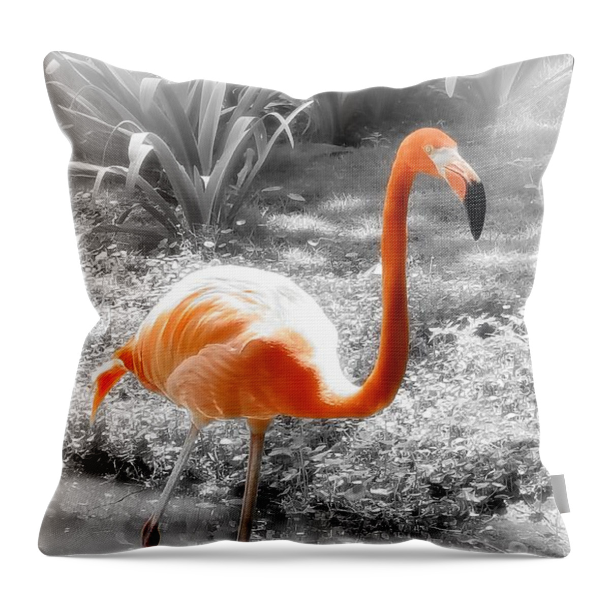 Bird Throw Pillow featuring the photograph Pink Orange Flamingo Photo 210 by Lucie Dumas