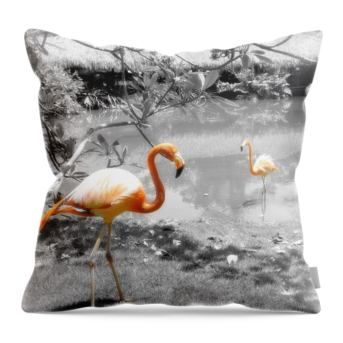 Bird Throw Pillow featuring the photograph Pink Orange Flamingo Photo 212 by Lucie Dumas