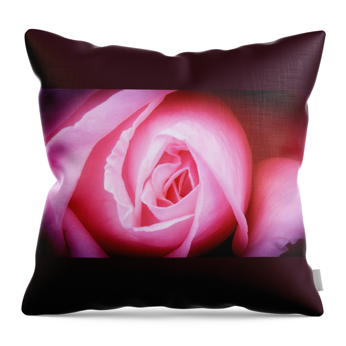 Pink Rose Throw Pillow featuring the photograph Pink Rose by David Morehead