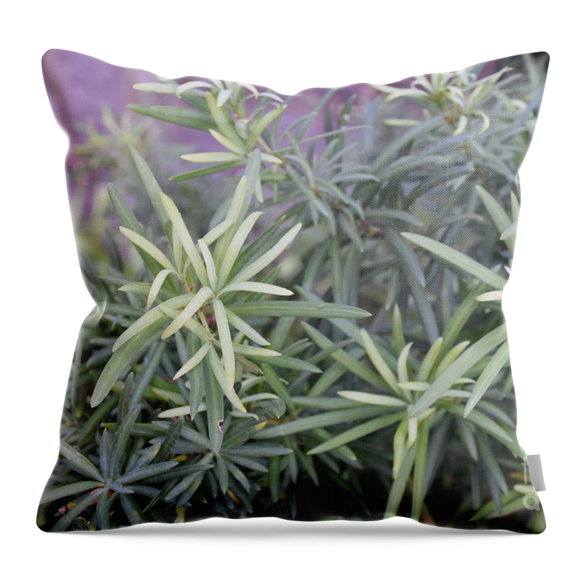 Photograph Of Green Plants Throw Pillow featuring the photograph Plants by Theresa Honeycheck
