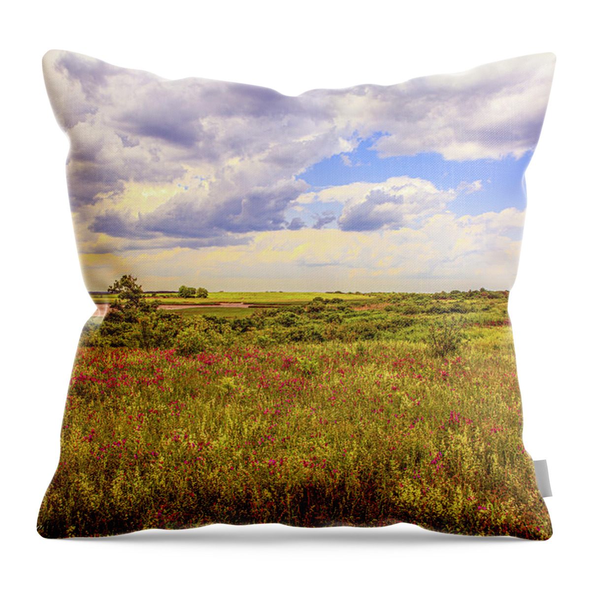 Plum Island Throw Pillow featuring the photograph Parker River National Wildlife Refuge by David Lee