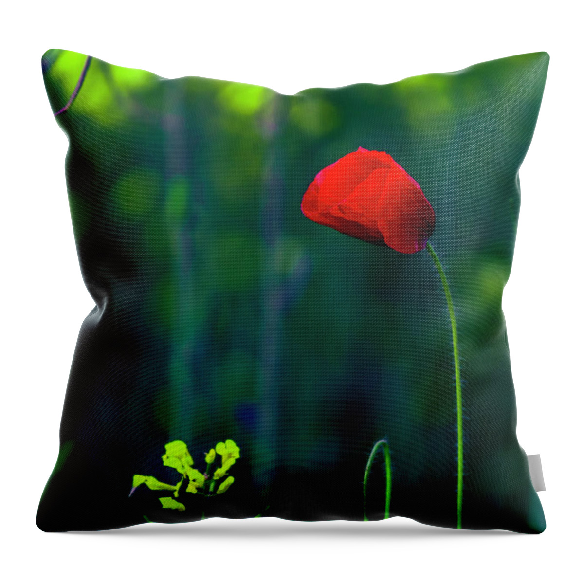 Bulgaria Throw Pillow featuring the photograph Poppy by Evgeni Dinev