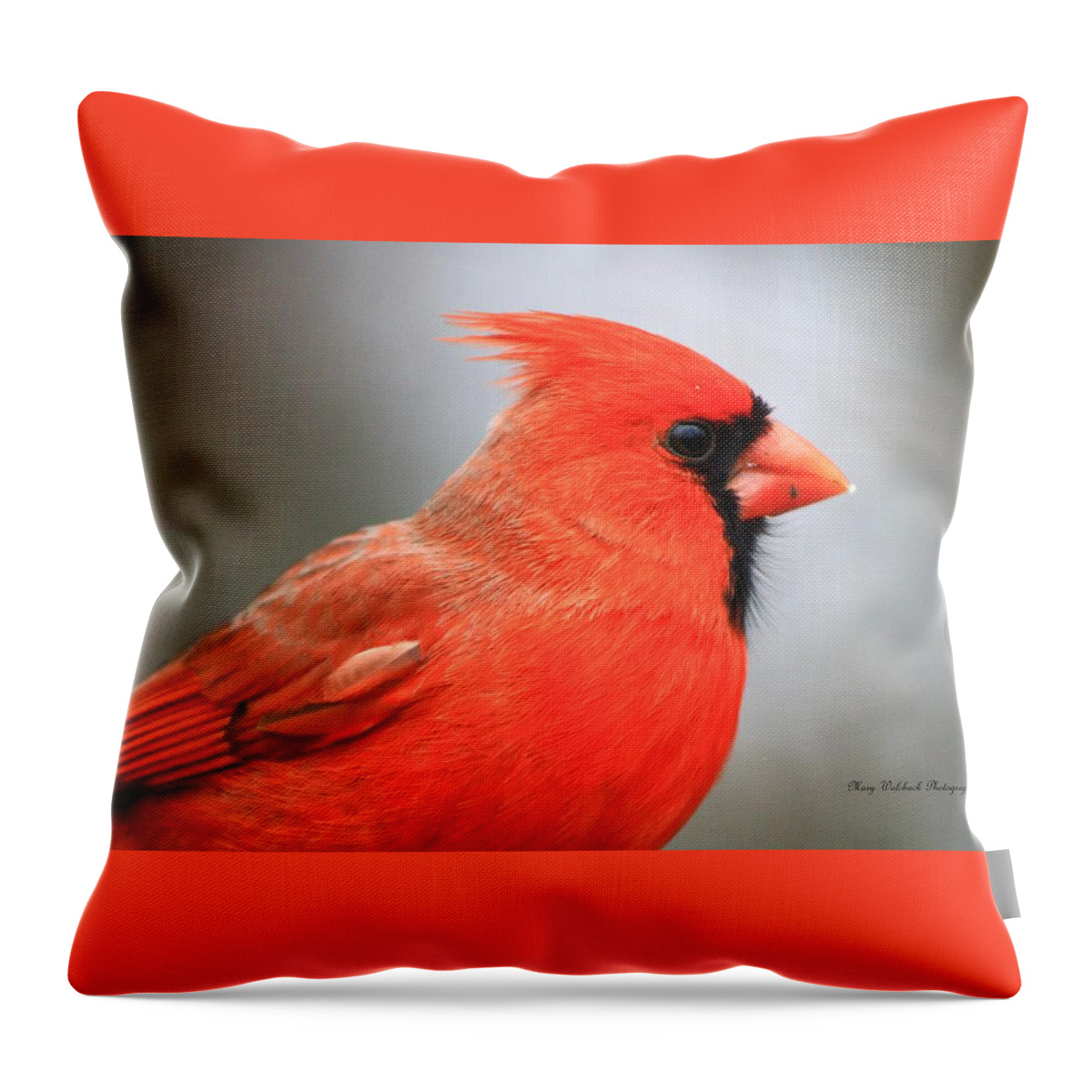Birds Wildlife Nature Throw Pillow featuring the photograph Portrait of a Cardinal by Mary Walchuck